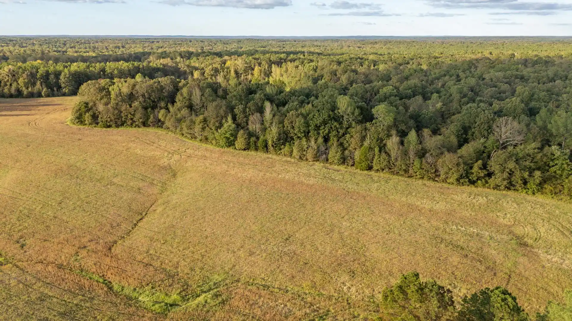 Homes for sale in Middleton, TN | 0 Pea Vine Rd, Middleton, TN 38052 | MLS# 10225797