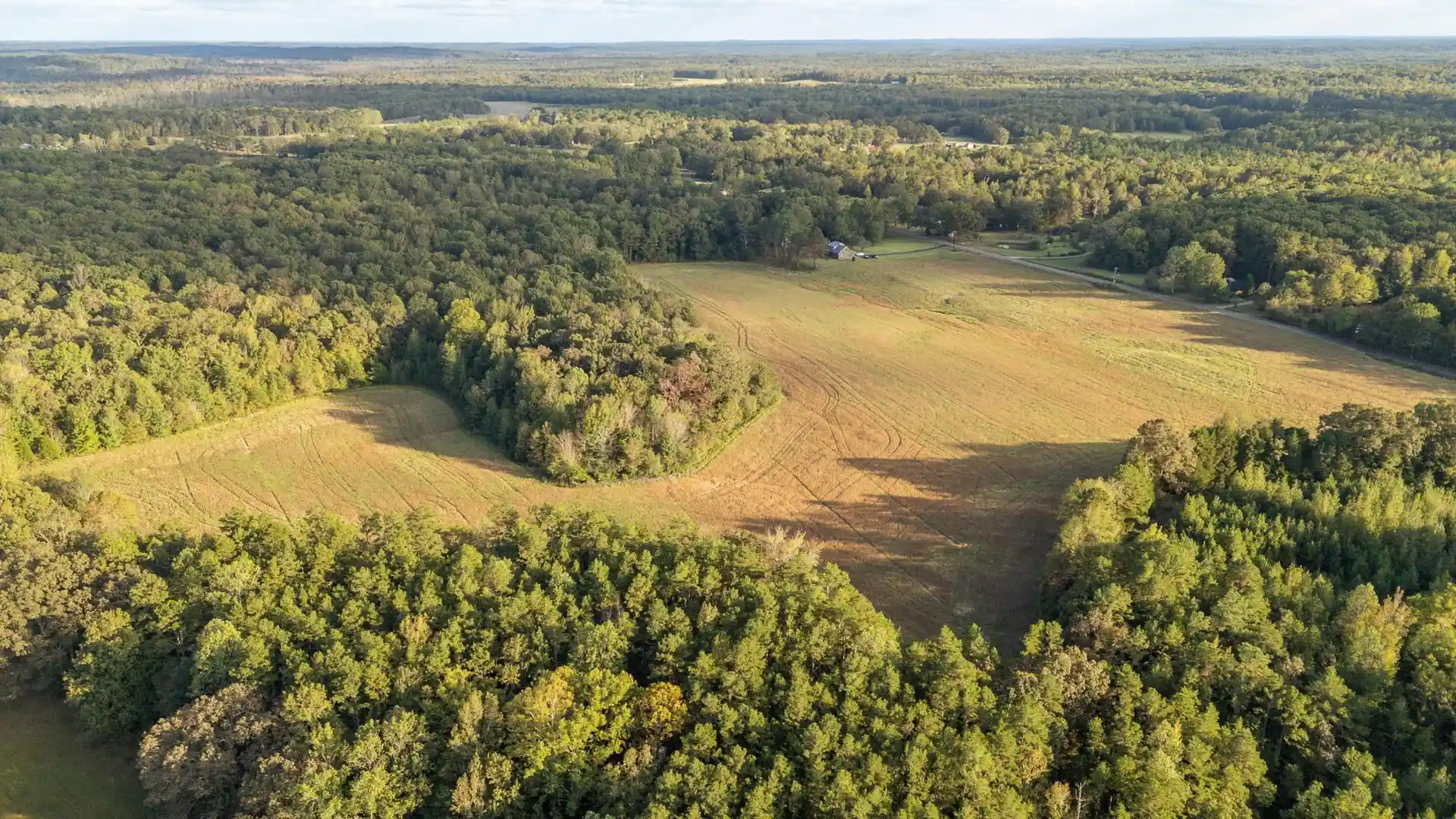 Homes for sale in Middleton, TN | 0 Pea Vine Rd, Middleton, TN 38052 | MLS# 10225797