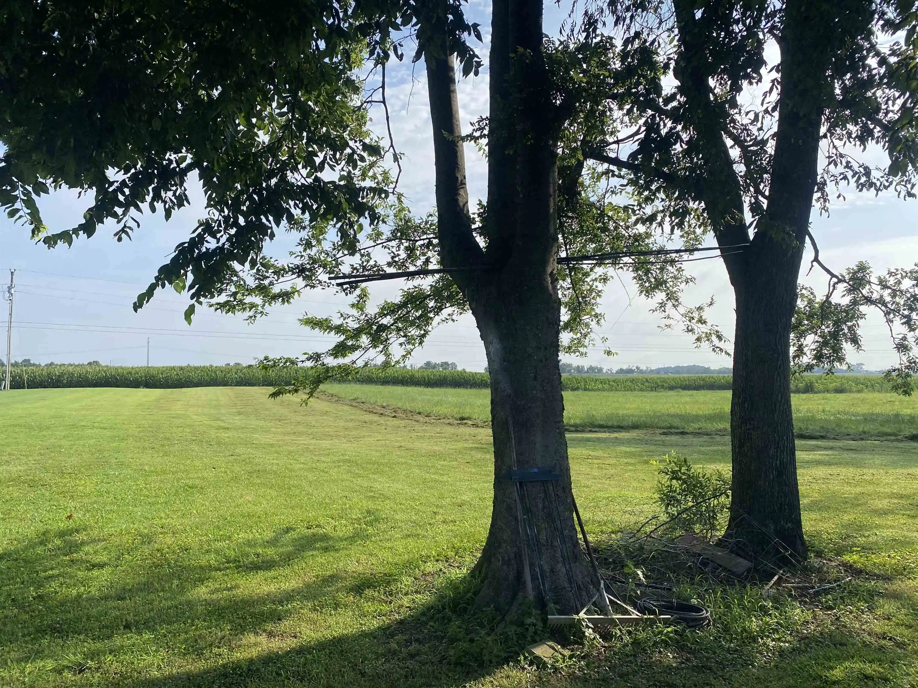 Photo 4 of Land for sale at 11 Catfish Ln, Crump, TN 38327 | MLS# 10225837 | Listing updated on 2026-07-10
