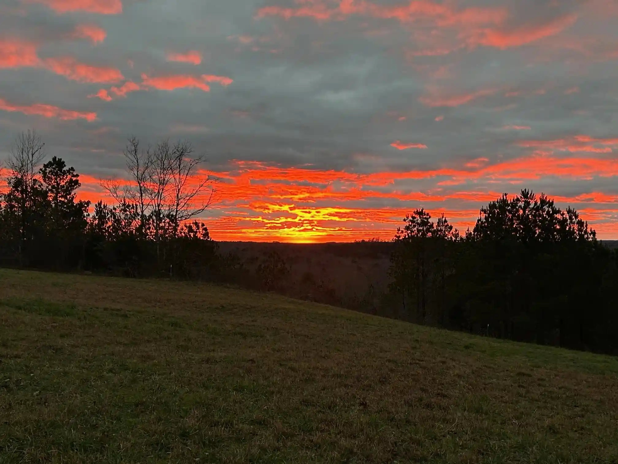 2nd image of 375 Turkey Knob Ln, Counce, TN 38326 | MLS# 10226040