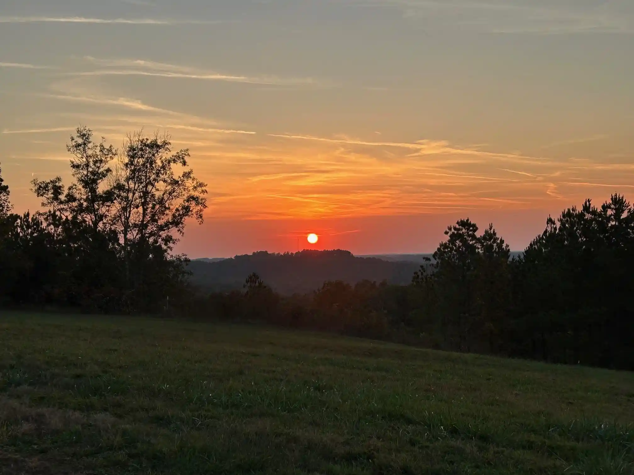 10th image of 375 Turkey Knob Ln, Counce, TN 38326 | MLS# 10226040