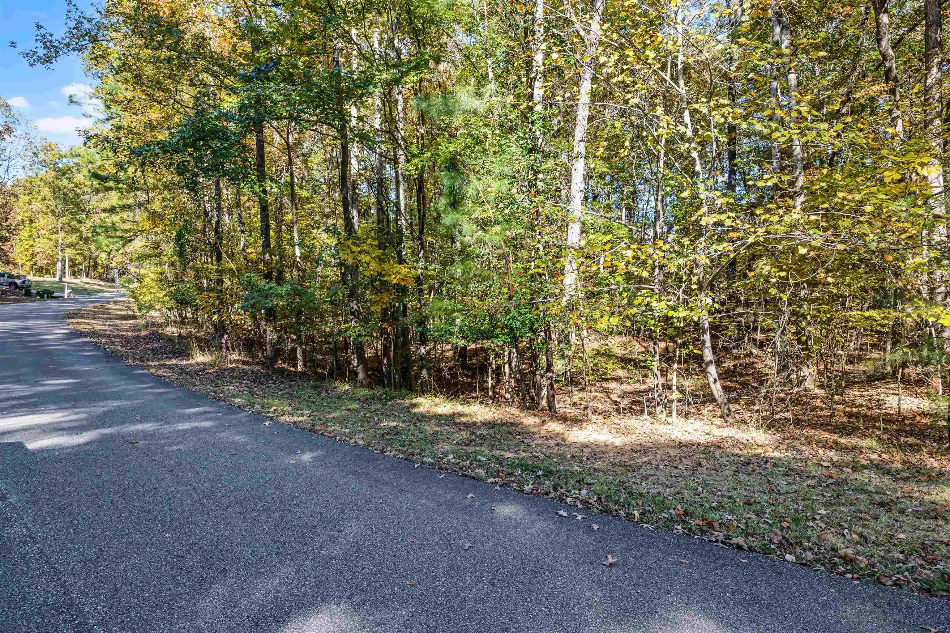 Photo 3 of Land for sale at 396,397,398 Windwood Dr, Counce, TN 38326 | MLS# 10226041 | Listing updated on 2026-10-01