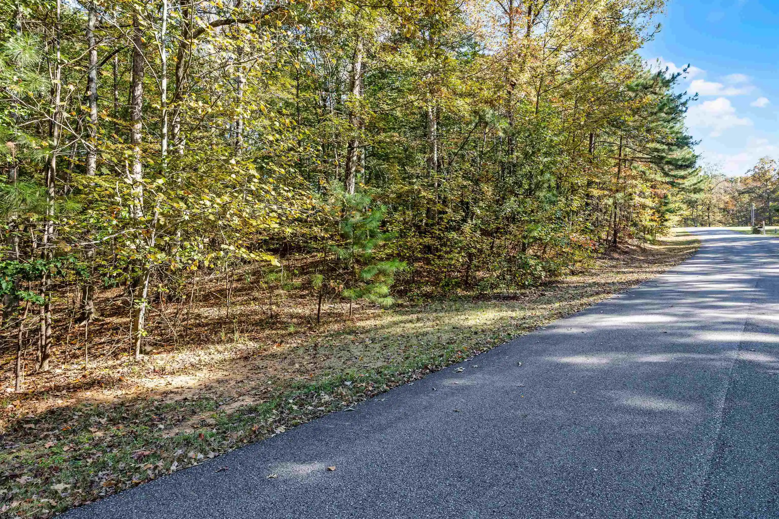 Photo 4 of Land for sale at 396,397,398 Windwood Dr, Counce, TN 38326 | MLS# 10226041 | Listing updated on 2026-10-01