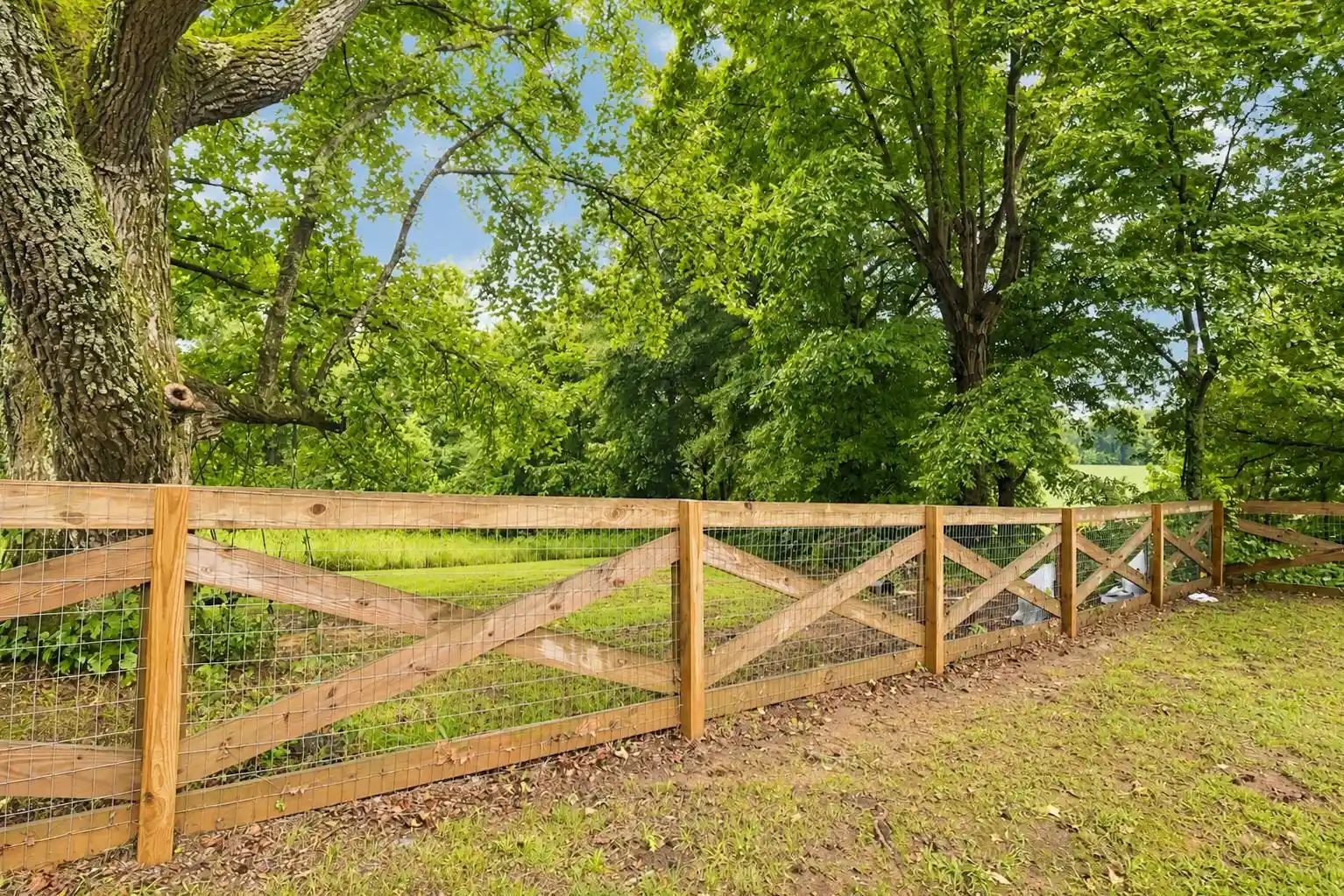 36th image of 10093 Mt Carmel Rd, Brighton, TN 38011 | MLS# 10226110