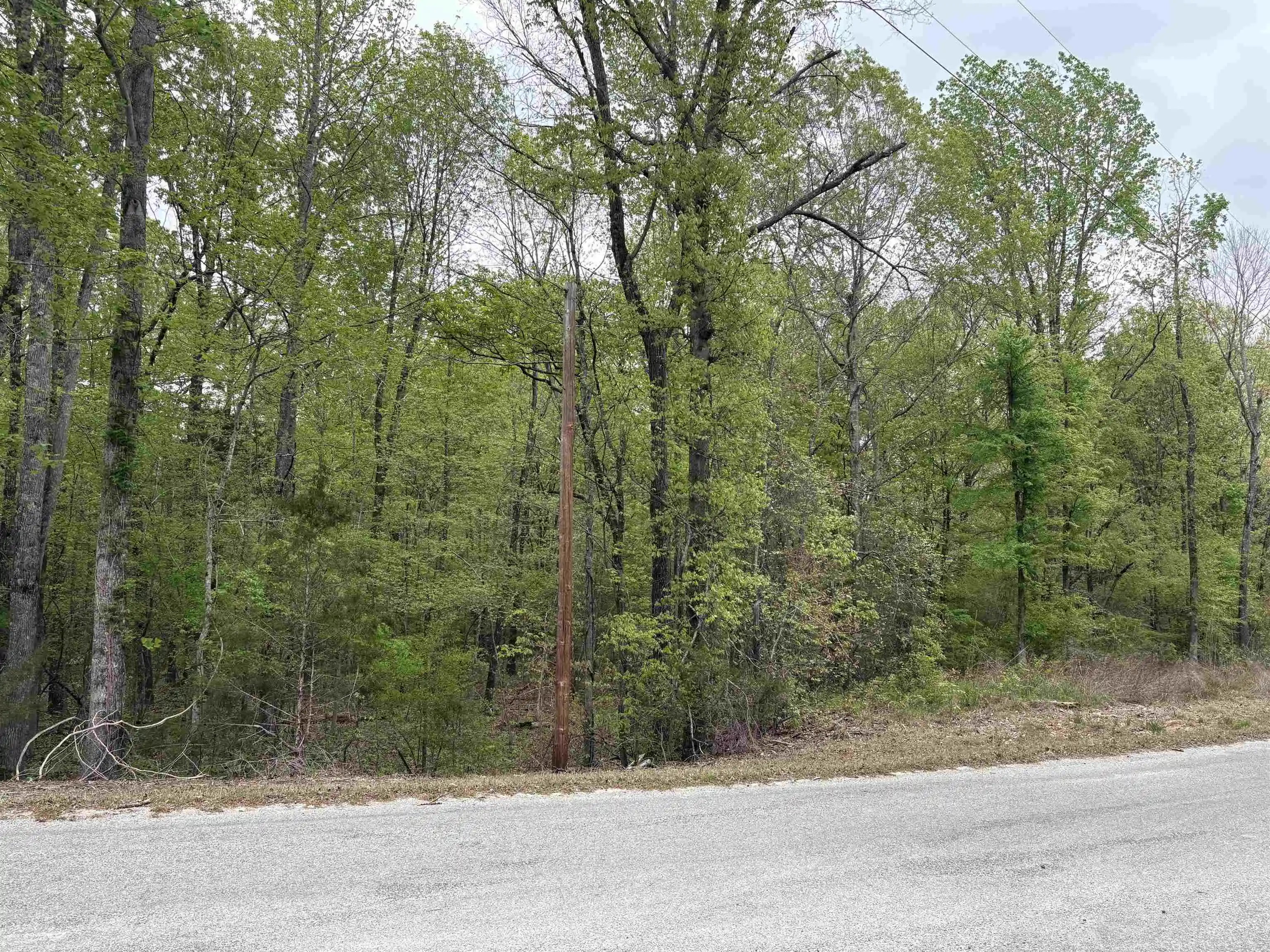 Photo 3 of Sale Pending at 620 Rolling Brk Dr, Somerville, TN 38068 | MLS# 10226206 | Listing updated on 2026-09-03