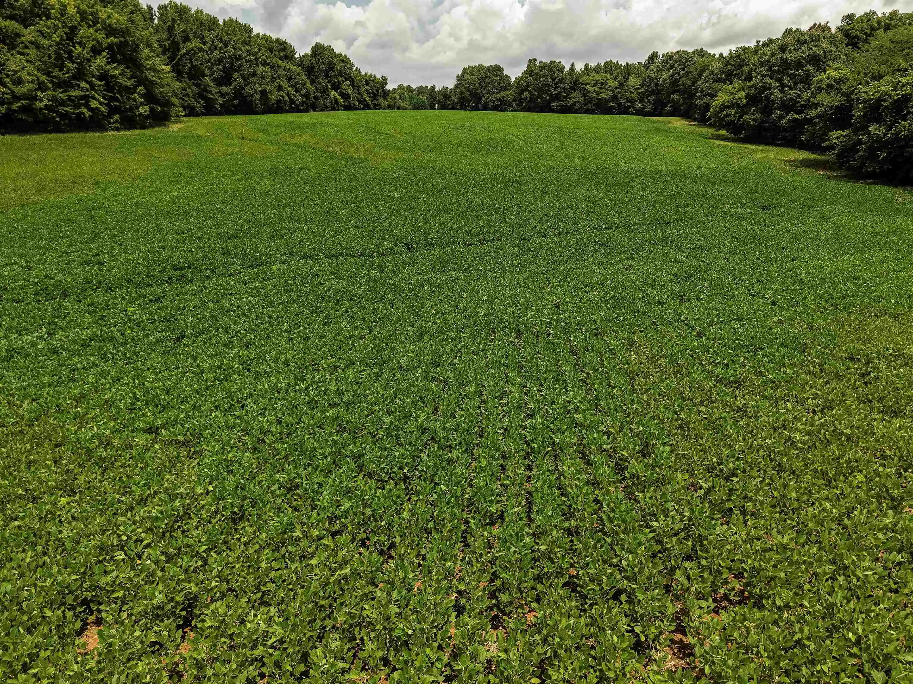 1st image of 00 Mae Sigma Rd, Brighton, TN 38011 | MLS# 10226302