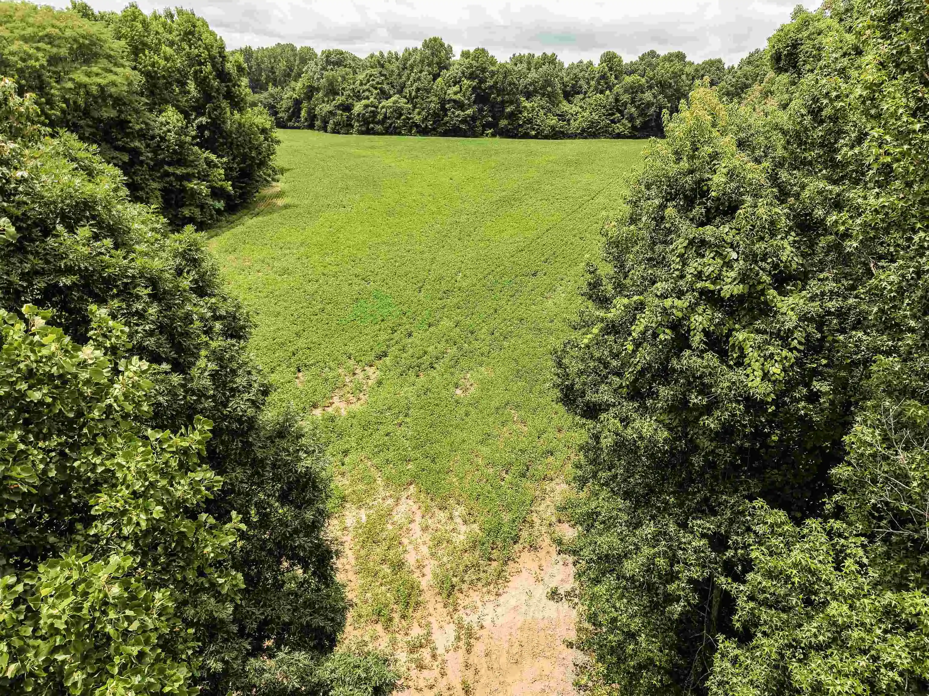 2nd image of 00 Mae Sigma Rd, Brighton, TN 38011 | MLS# 10226302