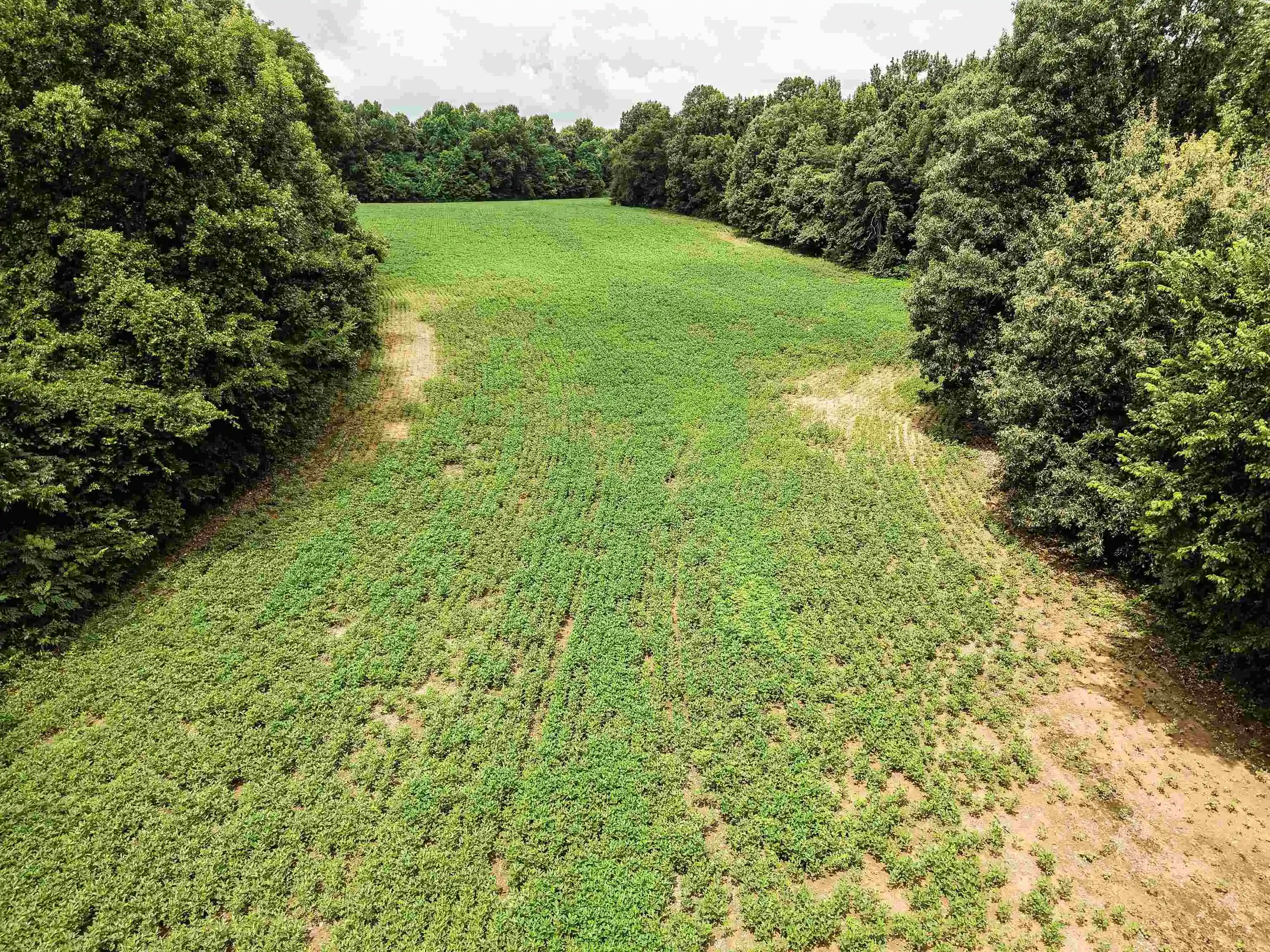 3rd image of 00 Mae Sigma Rd, Brighton, TN 38011 | MLS# 10226302