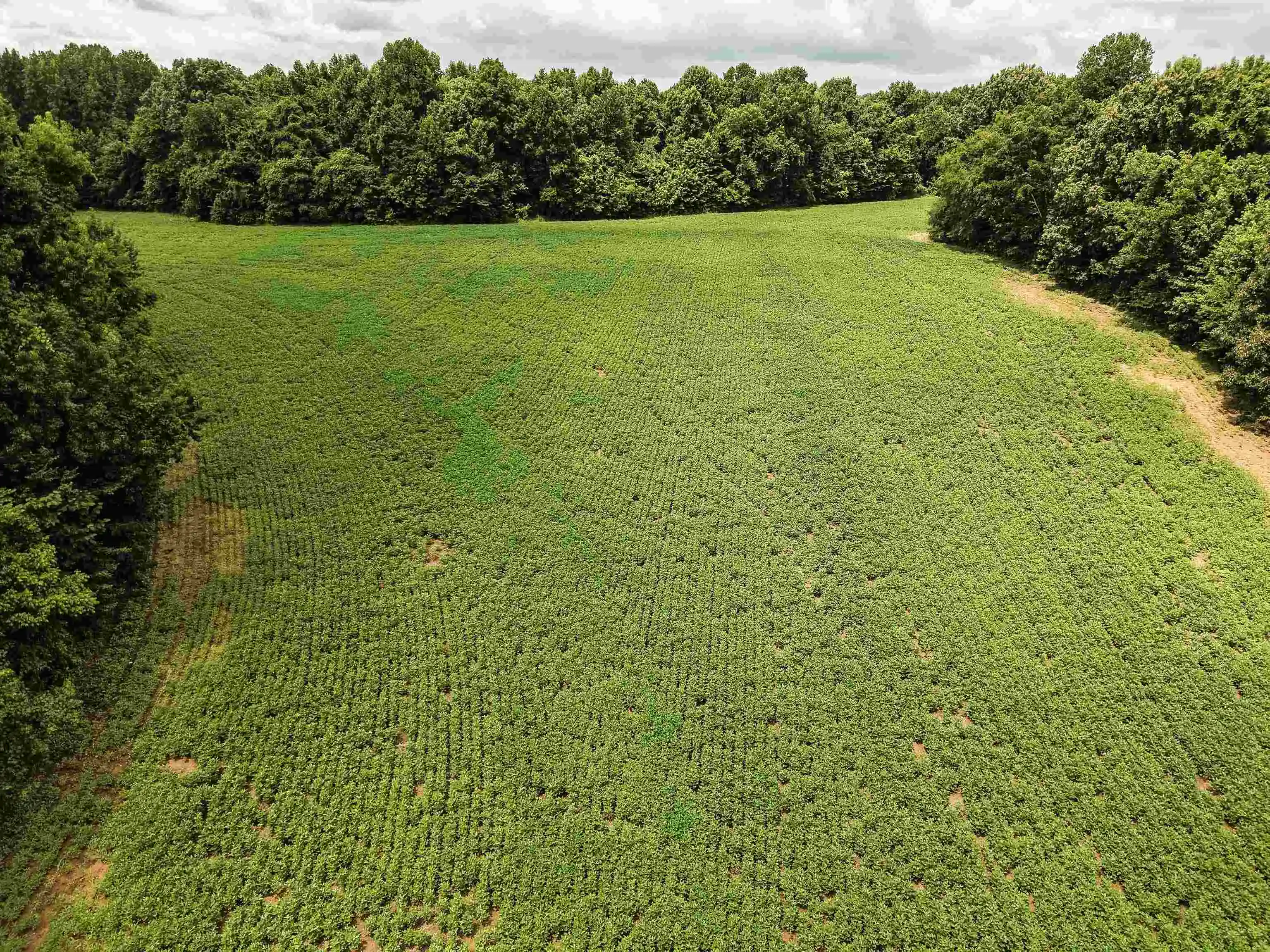 4th image of 00 Mae Sigma Rd, Brighton, TN 38011 | MLS# 10226302