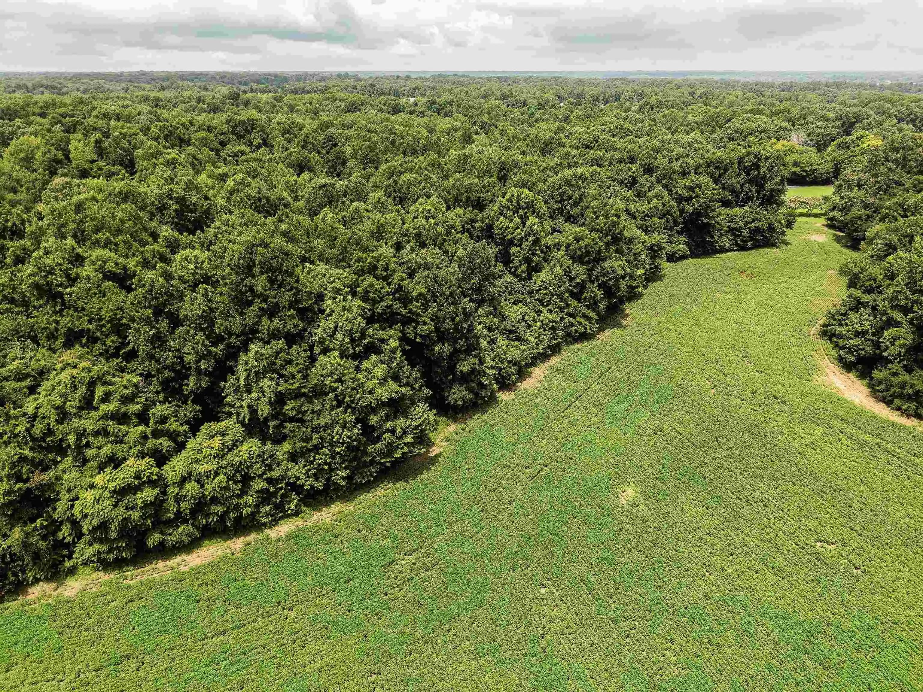5th image of 00 Mae Sigma Rd, Brighton, TN 38011 | MLS# 10226302