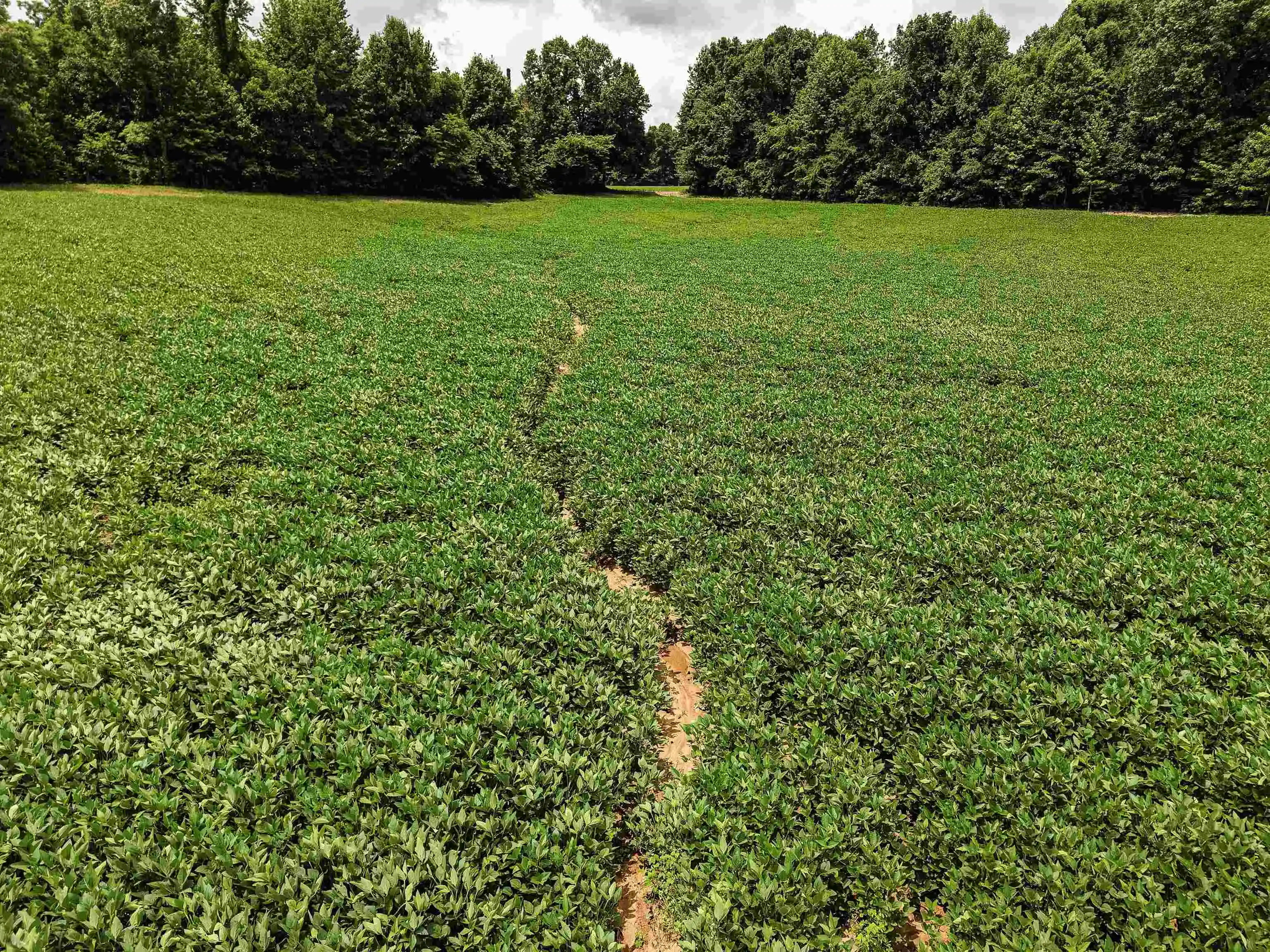 35th image of 00 Mae Sigma Rd, Brighton, TN 38011 | MLS# 10226302