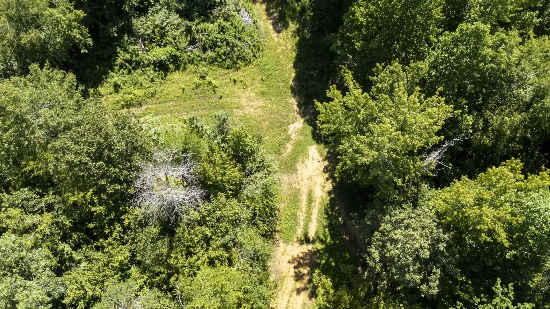 Photo 3 of Land for sale at 00 Foster Rd, Adamsville, TN 38310 | MLS# 10226349 | Listing updated on 2026-09-14