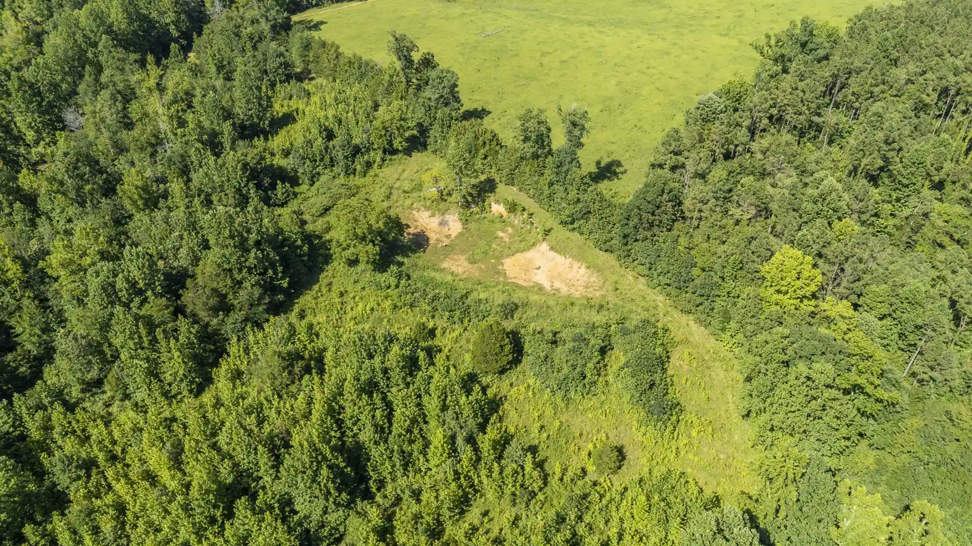 Photo 4 of Land for sale at 00 Foster Rd, Adamsville, TN 38310 | MLS# 10226349 | Listing updated on 2026-09-14