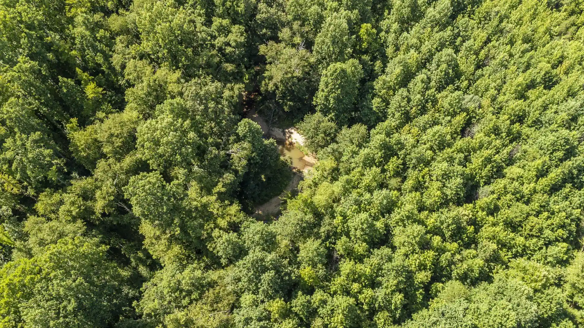 9th image of 00 Foster Rd, Adamsville, TN 38310 | MLS# 10226349