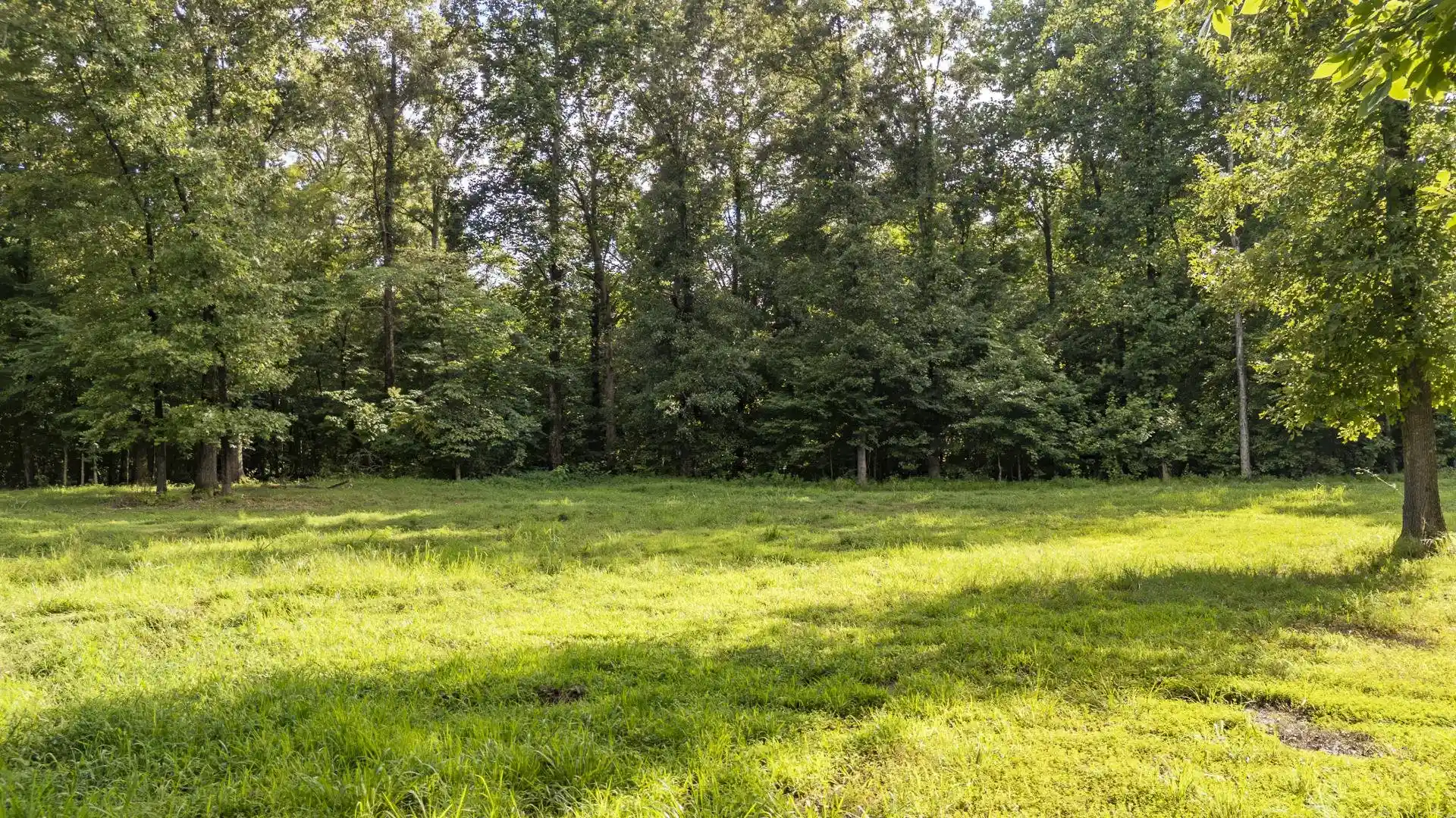 40th image of 0 70 Hwy, Jackson, TN 38305 | MLS# 10226365
