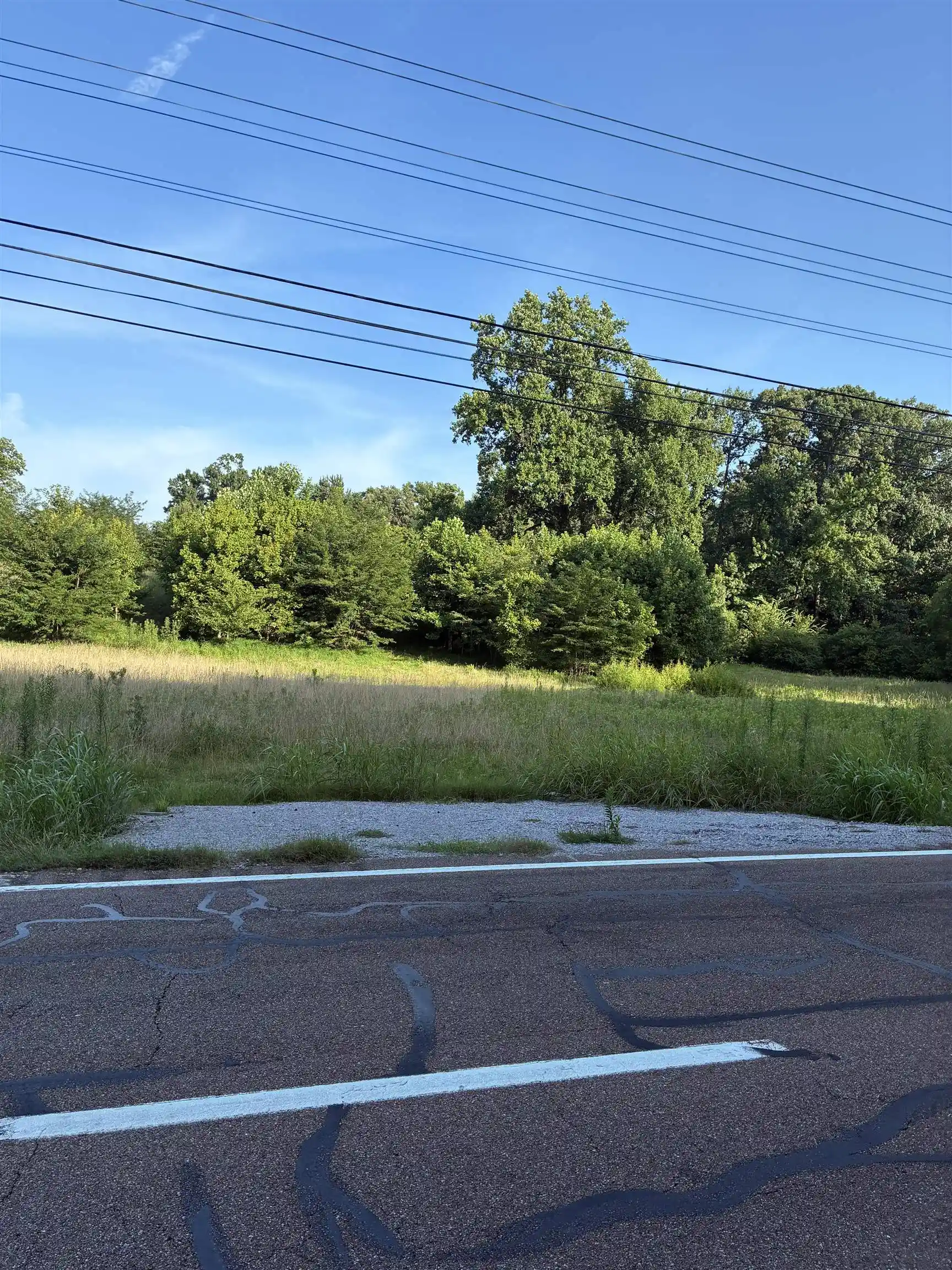 1st image of Hwy 51 Hwy, Atoka, TN 38004 | MLS# 10226424