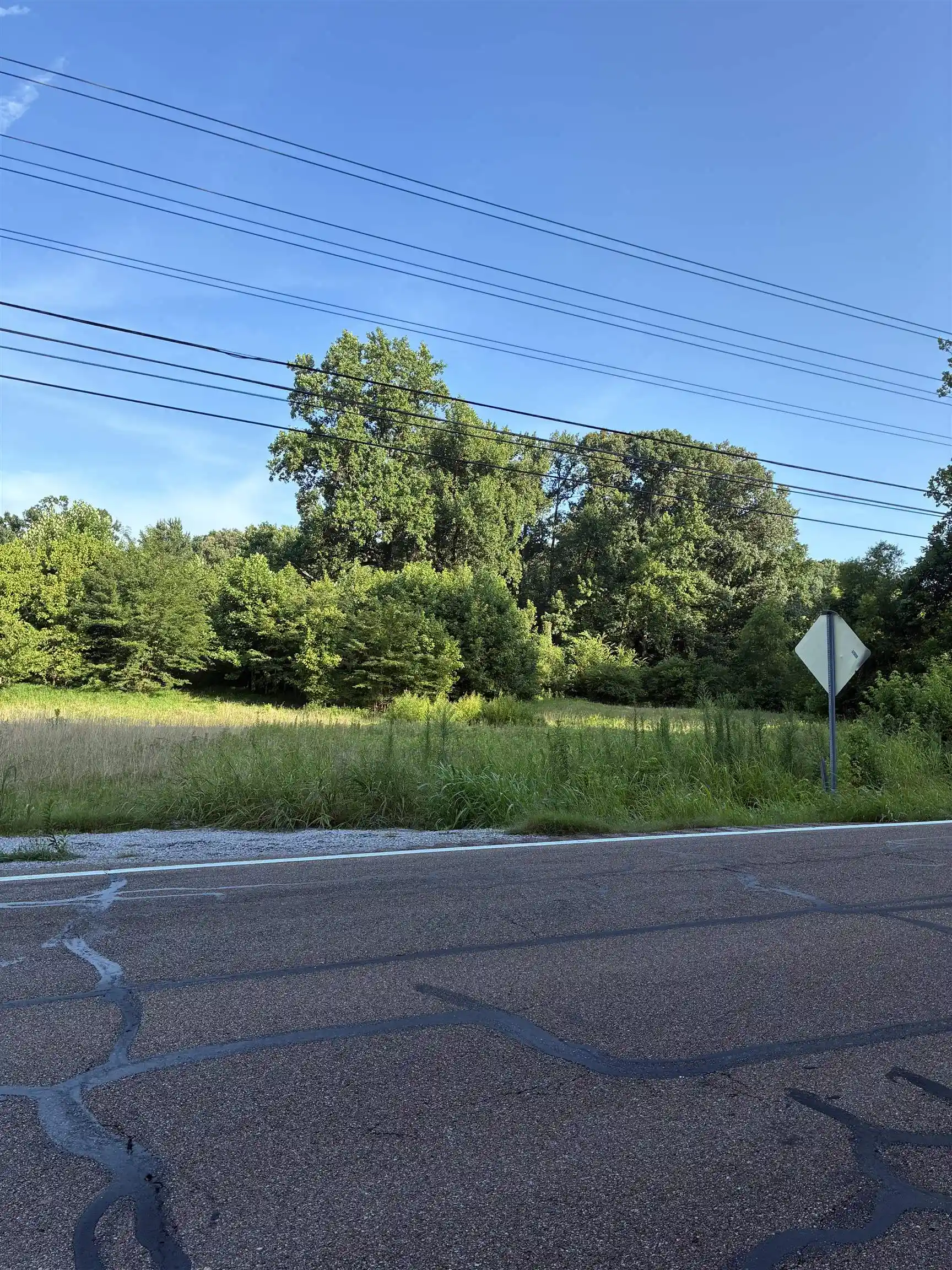 2nd image of Hwy 51 Hwy, Atoka, TN 38004 | MLS# 10226424