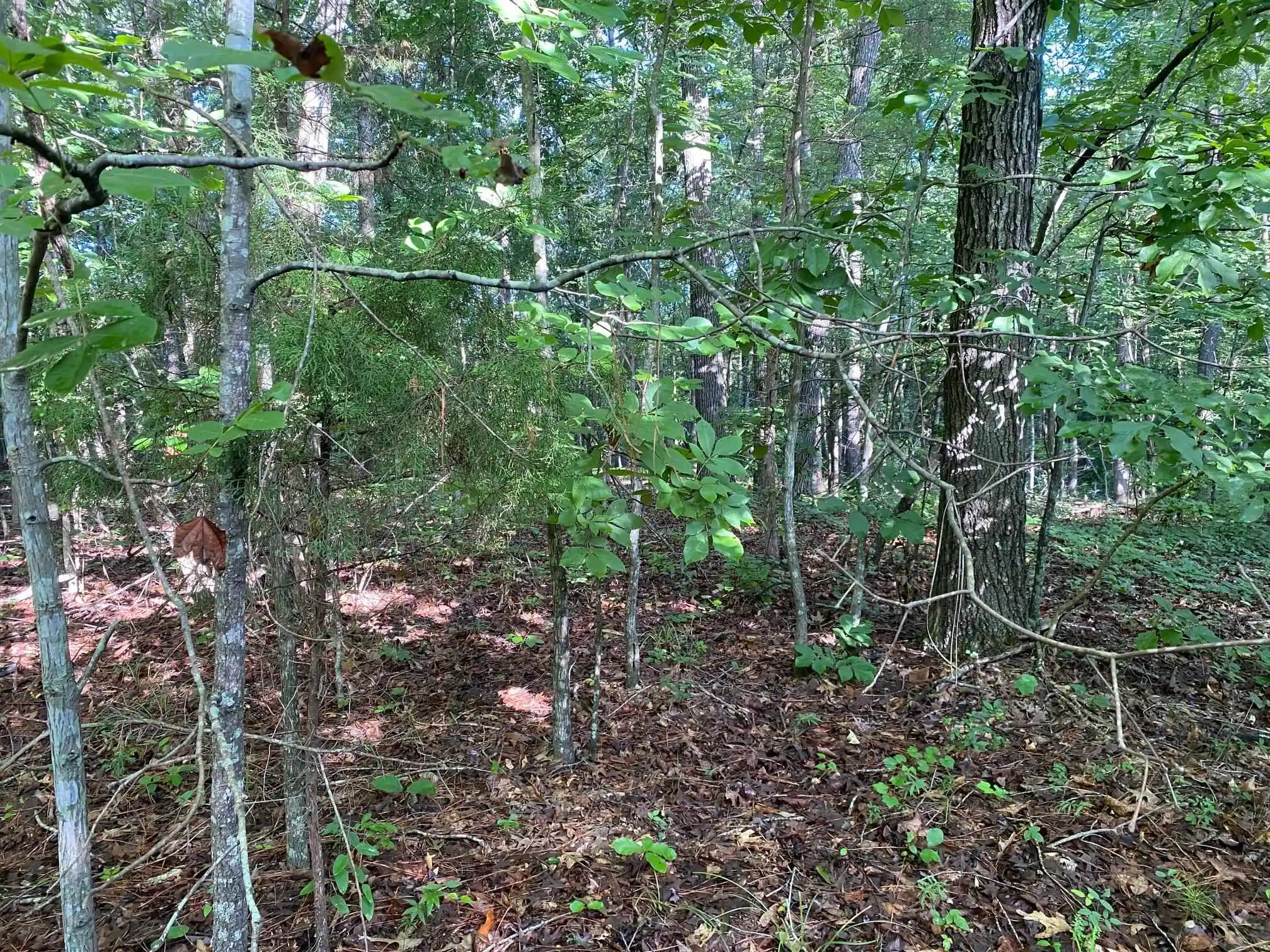 1st image of Country Woods Dr, Selmer, TN 38375 | MLS# 10226538