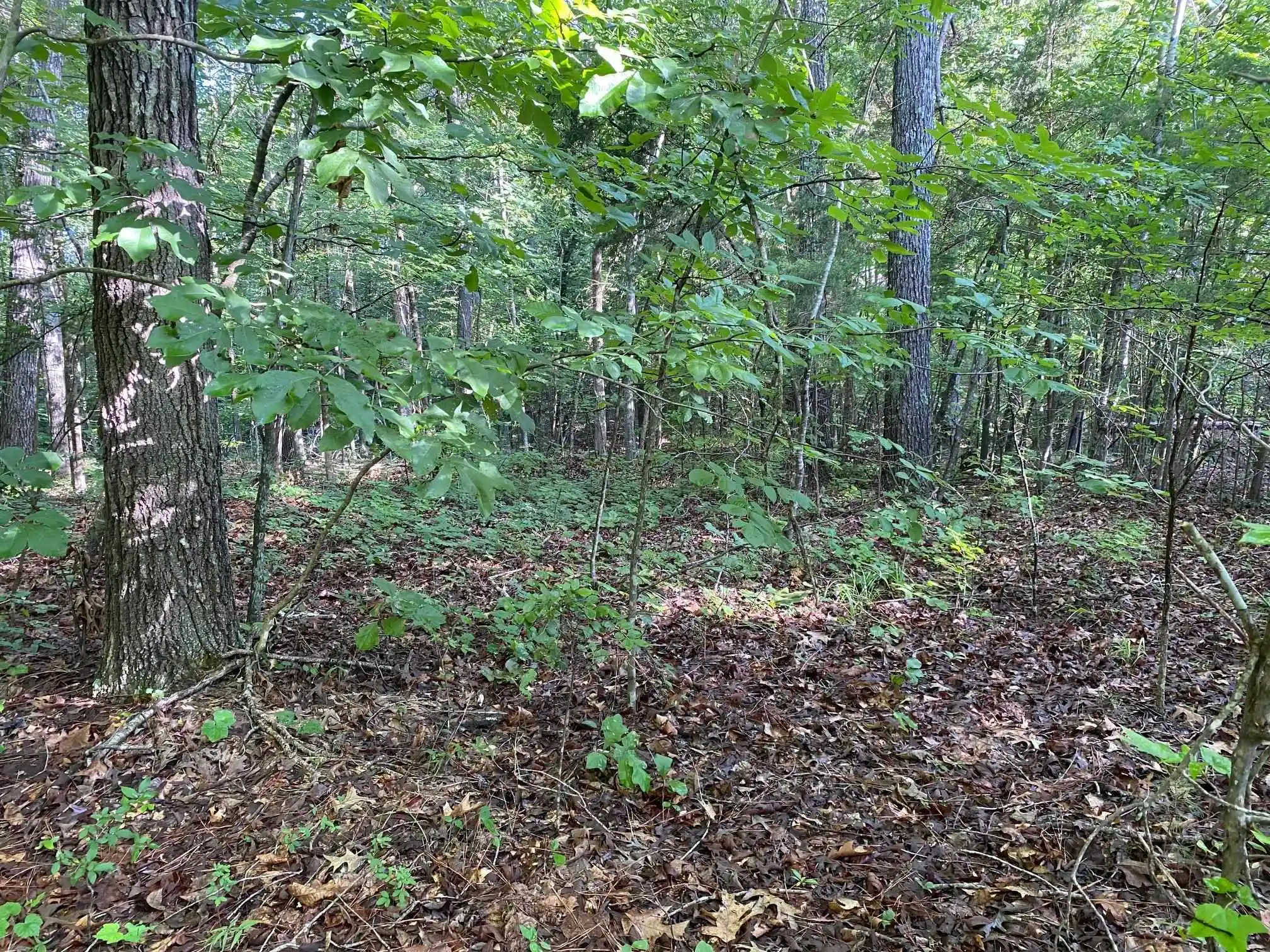 2nd image of Country Woods Dr, Selmer, TN 38375 | MLS# 10226538