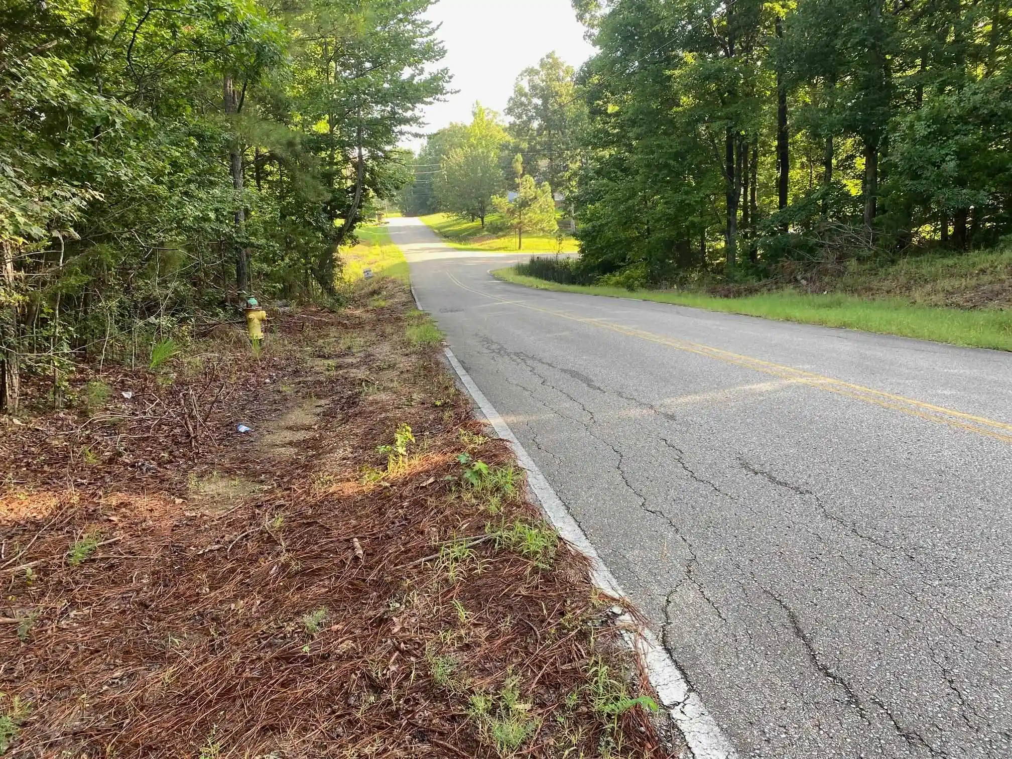 3rd image of Country Woods Dr, Selmer, TN 38375 | MLS# 10226538
