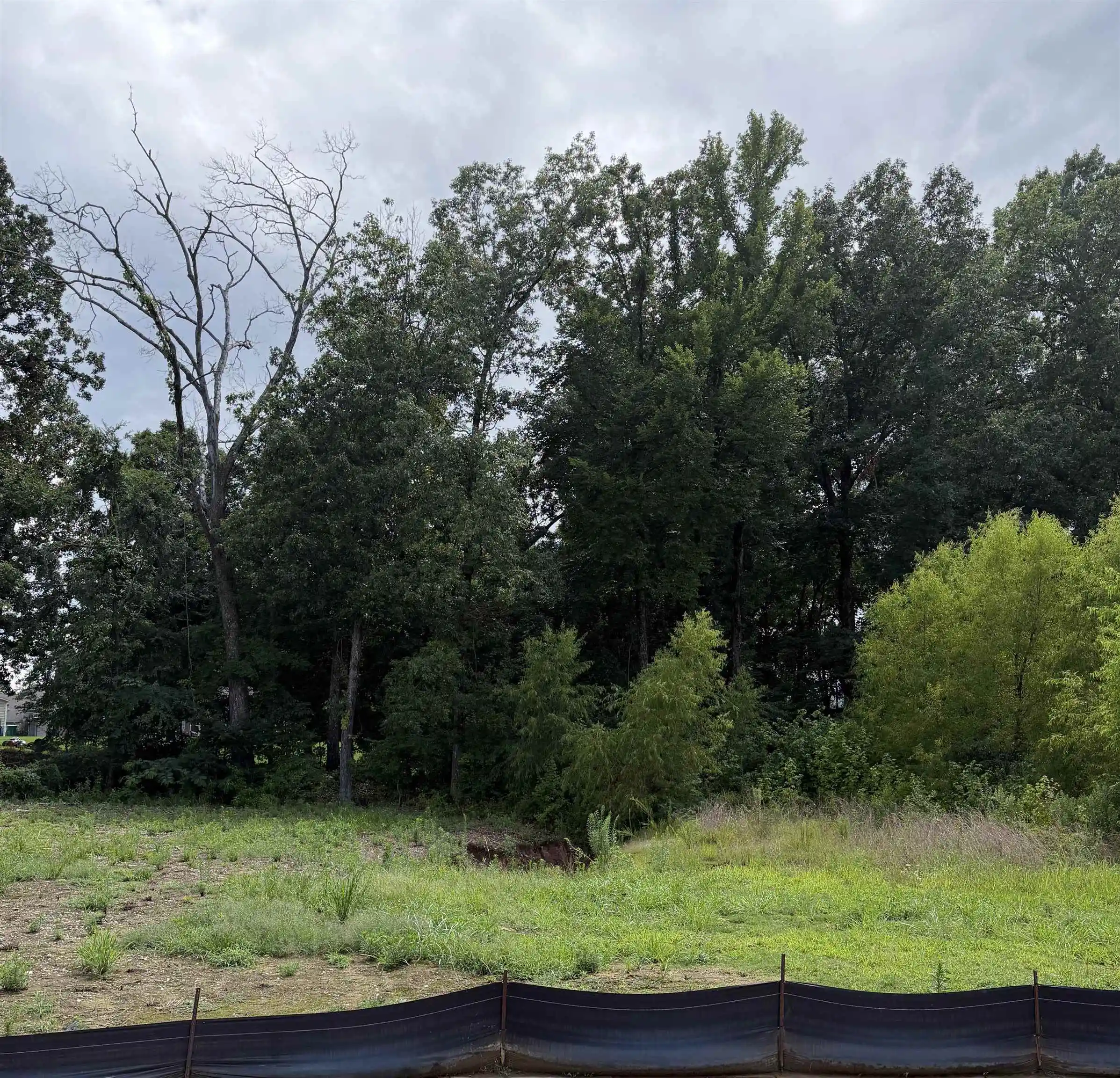 1st image of 105 Misty Meadow Ln, Oakland, TN 38060 | MLS# 10226558