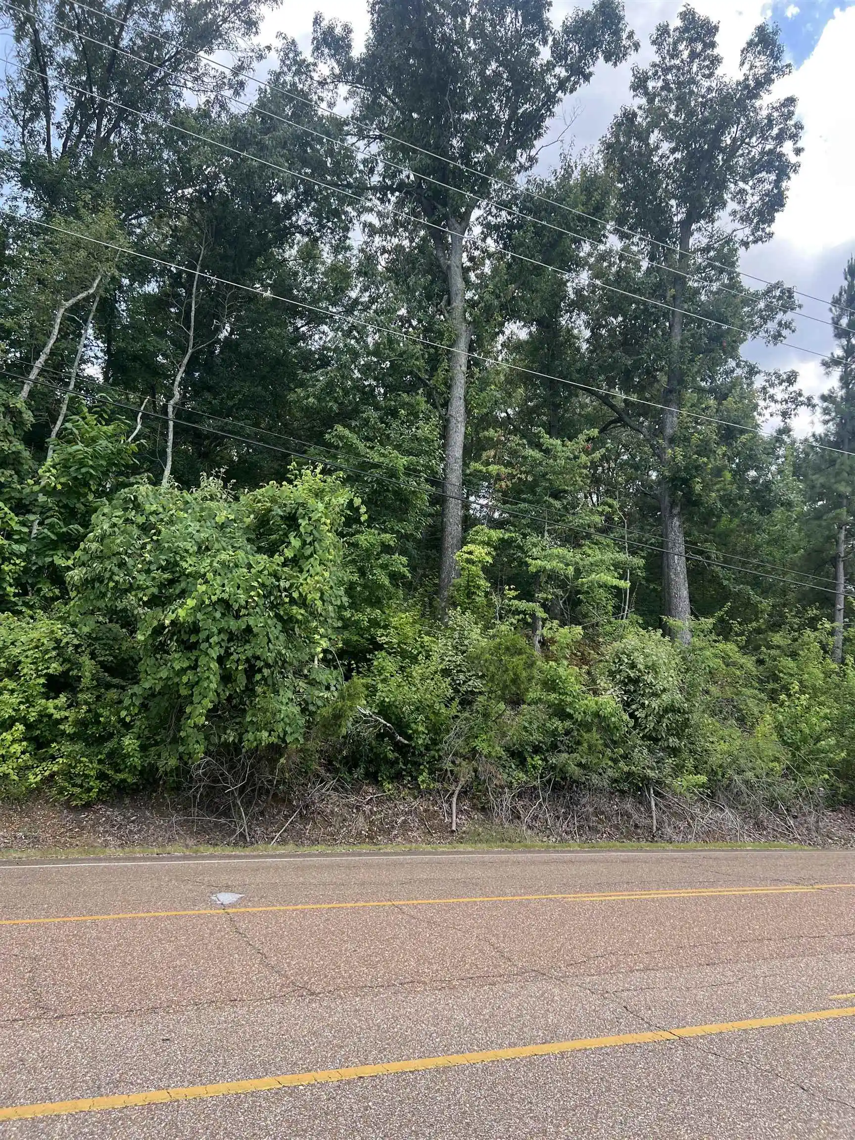 1st image of 8207 Old Brownsville Rd, Bartlett, TN 38002 | MLS# 10226562