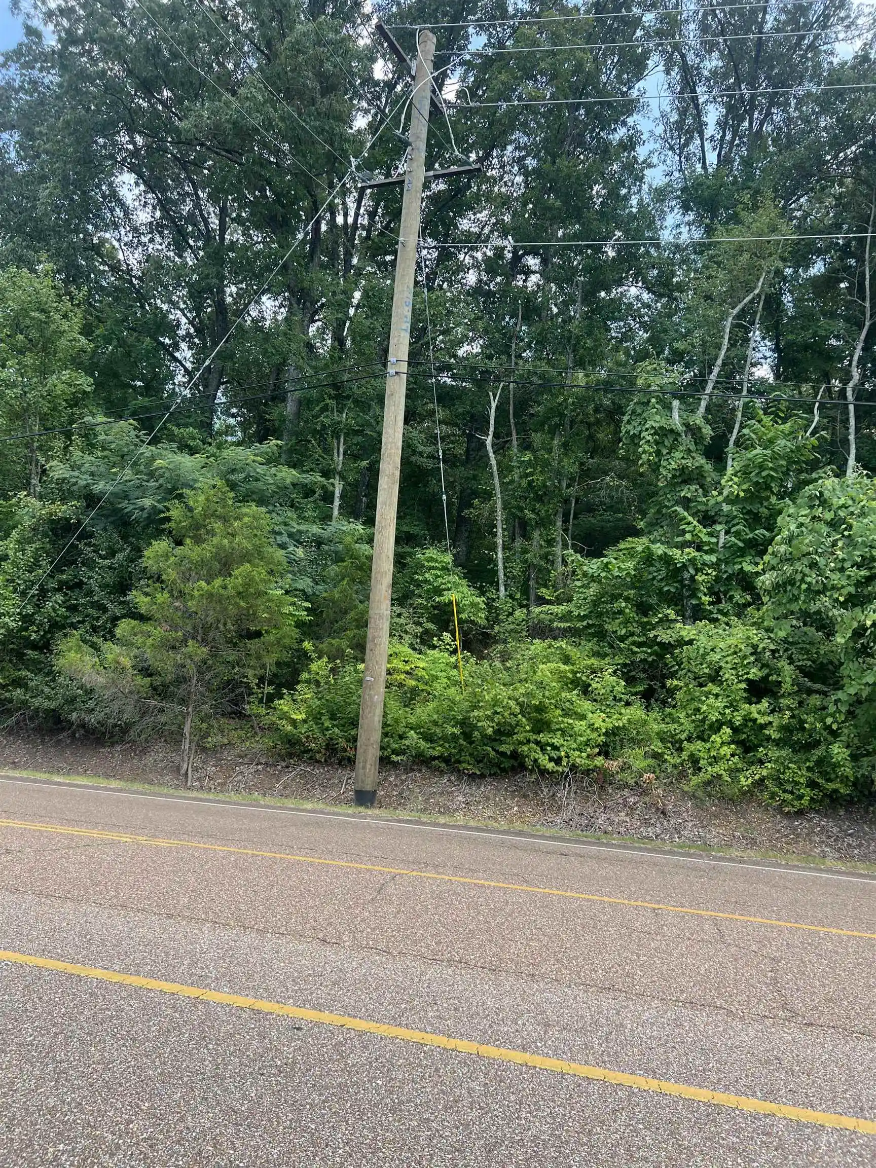 2nd image of 8207 Old Brownsville Rd, Bartlett, TN 38002 | MLS# 10226562