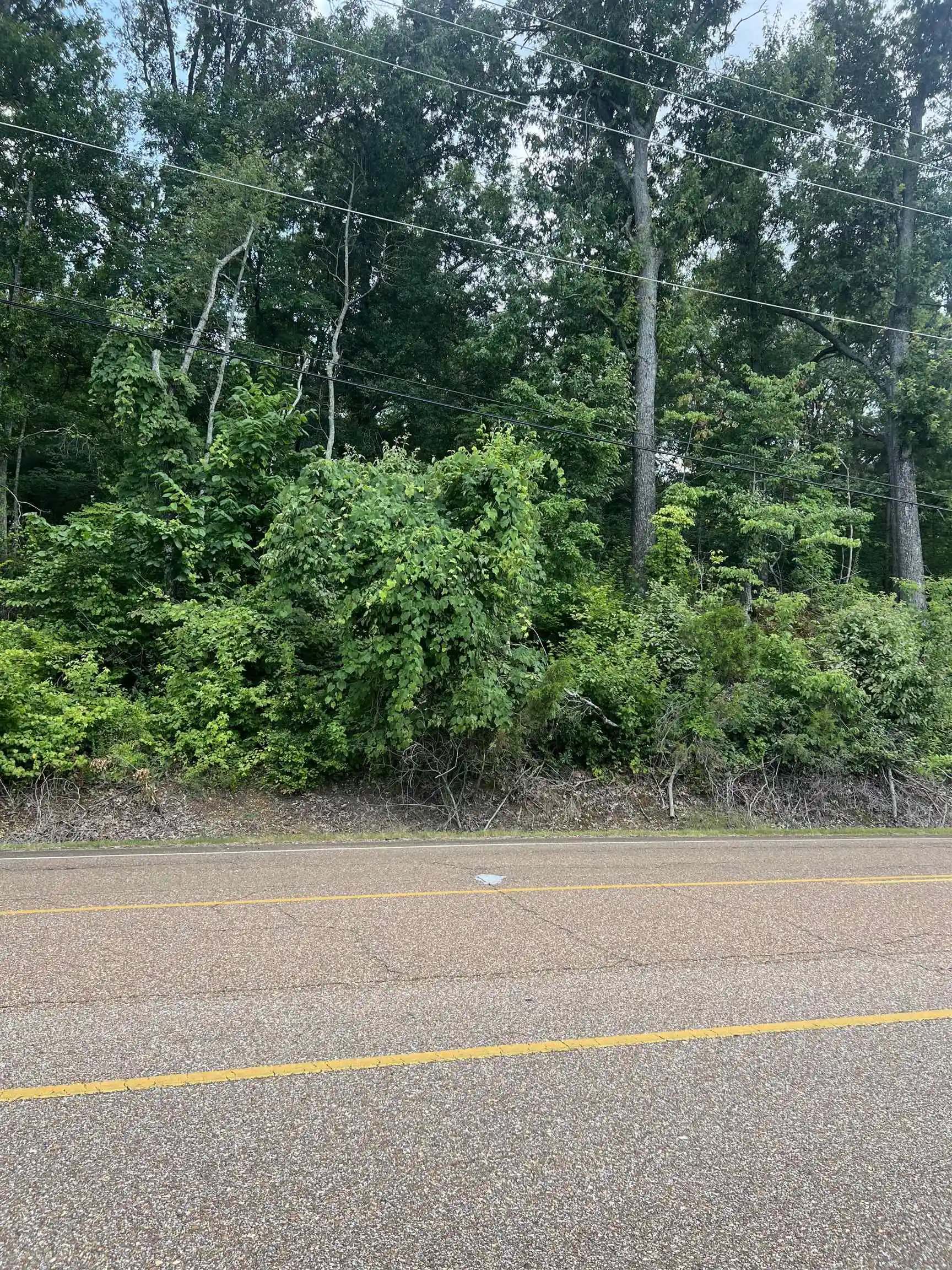 3rd image of 8207 Old Brownsville Rd, Bartlett, TN 38002 | MLS# 10226562