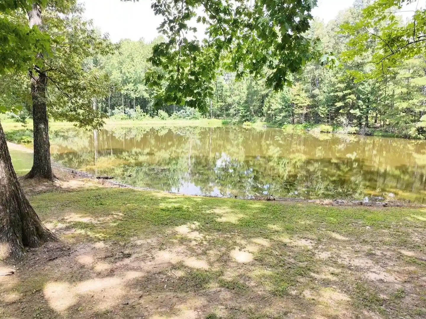 5th image of 24135 Us 64 Hwy, Hornsby, TN 38044 | MLS# 10226580