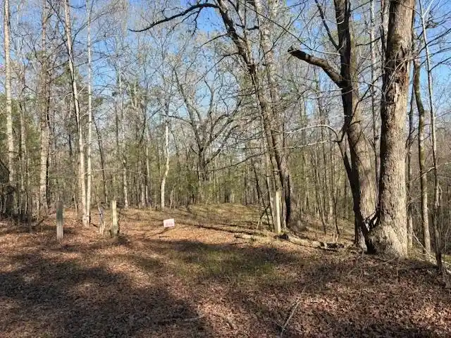 1st image of 0 Gooch Store Rd, Hornsby, TN 38044 | MLS# 10226640