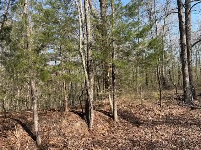 3rd image of 0 Gooch Store Rd, Hornsby, TN 38044 | MLS# 10226640