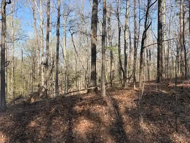 4th image of 0 Gooch Store Rd, Hornsby, TN 38044 | MLS# 10226640
