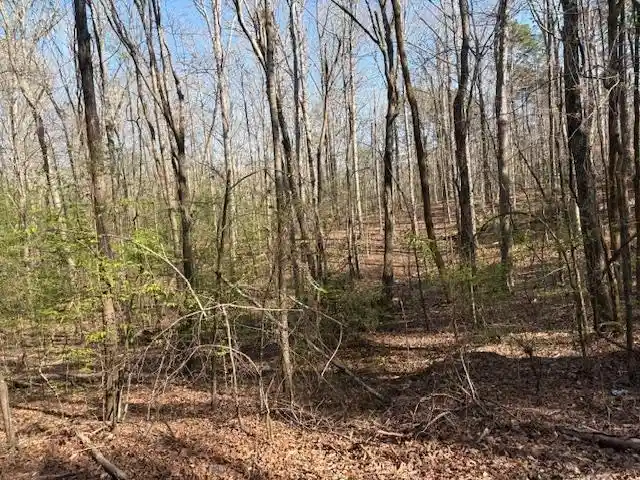 5th image of 0 Gooch Store Rd, Hornsby, TN 38044 | MLS# 10226640