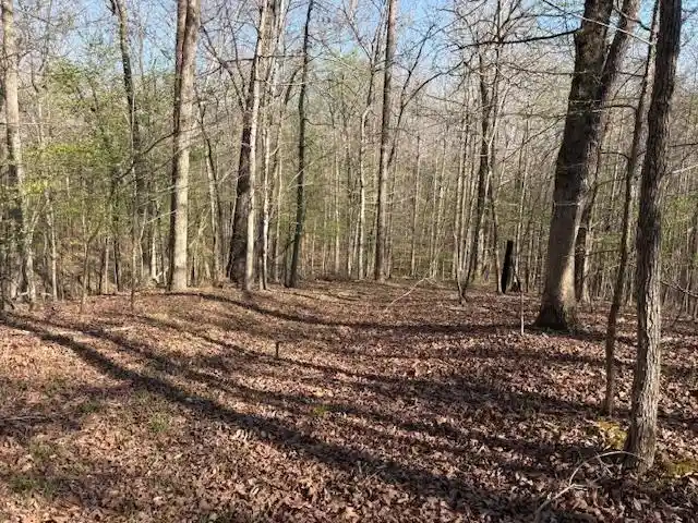 9th image of 0 Gooch Store Rd, Hornsby, TN 38044 | MLS# 10226640