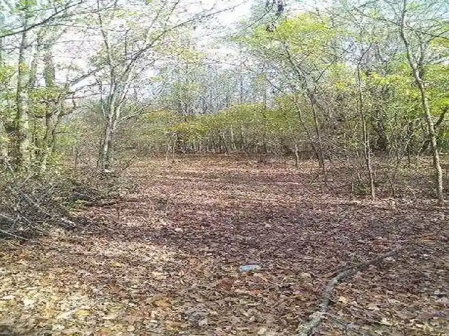 1st image of Payton Rd, Millington, TN 38053 | MLS# 10226679