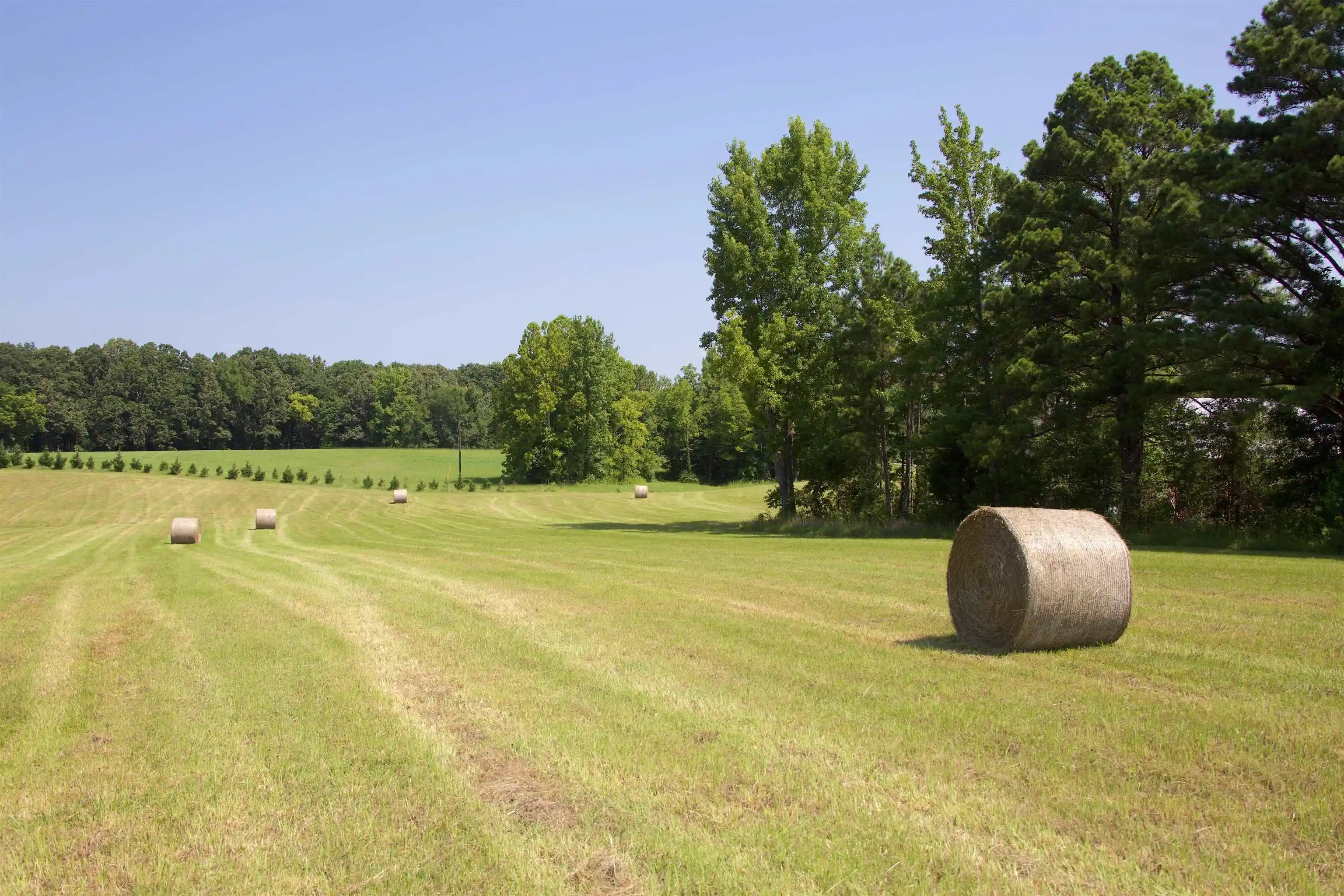 Photo 3 of Single family home for sale at 2195 S Slayden Rd, Holly Springs, MS 38635 | MLS# 10226680 | Listing updated on 2026-07-22