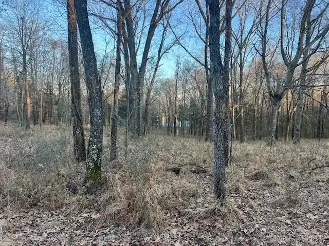 Photo 2 of Land for sale at 261 Ac Macon Rd, Unicorp/eads, TN 38028 | MLS# 10226684 | Listing updated on 2026-07-22