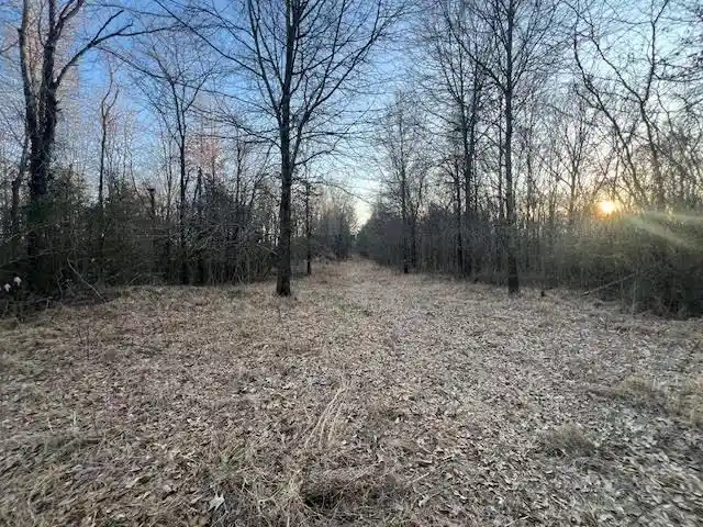 Photo 3 of Land for sale at 261 Ac Macon Rd, Unicorp/eads, TN 38028 | MLS# 10226684 | Listing updated on 2026-07-22