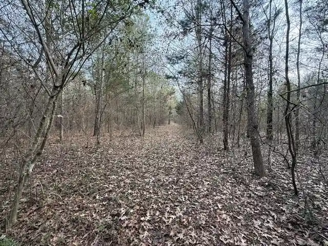 Photo 3 of Land for sale at 261 Ac Macon Rd, Unicorp/eads, TN 38028 | MLS# 10226684 | Listing updated on 2026-07-22