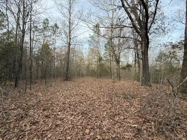 Photo 4 of Land for sale at 261 Ac Macon Rd, Unicorp/eads, TN 38028 | MLS# 10226684 | Listing updated on 2026-07-22