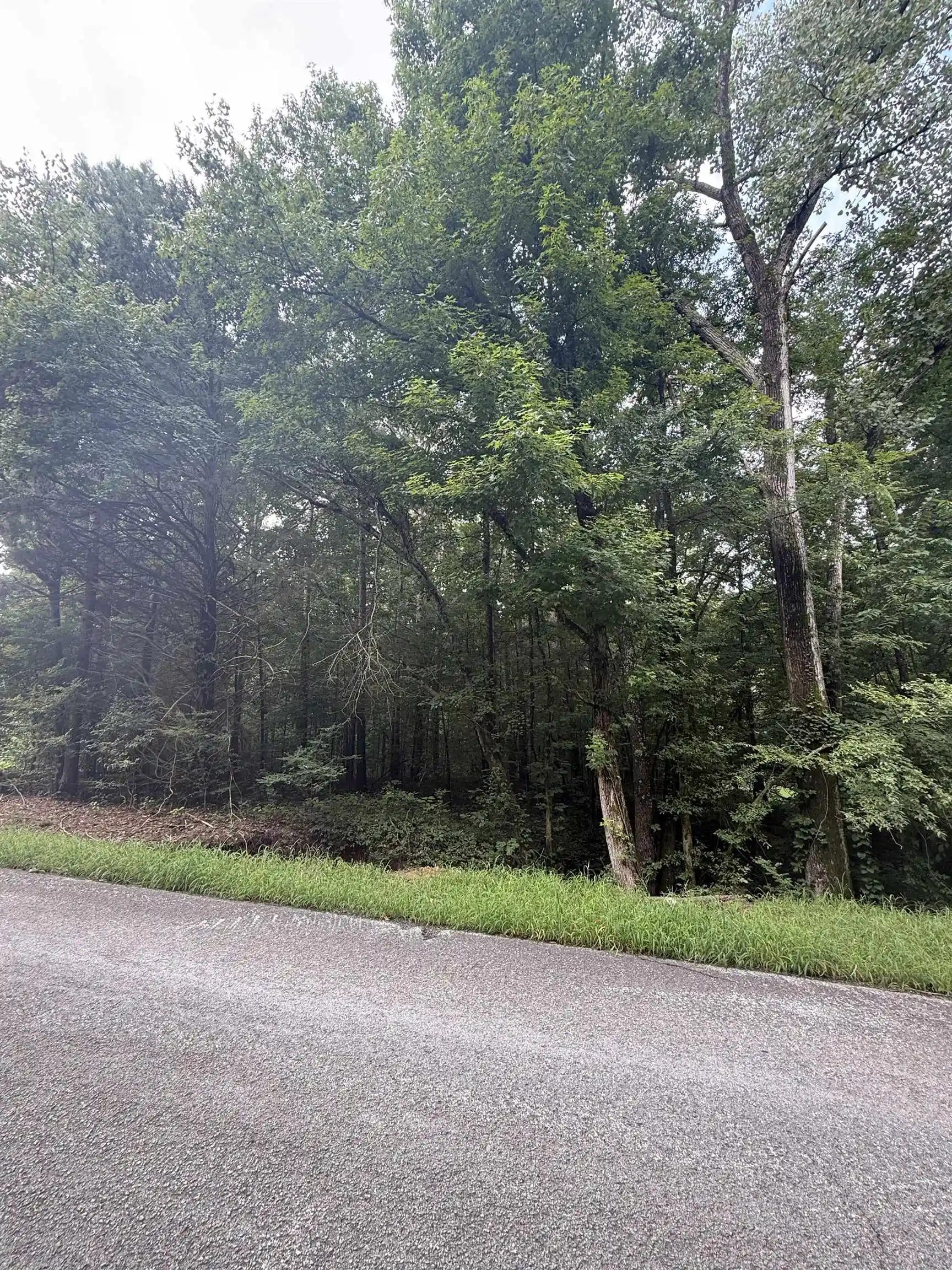 Photo 2 of Land for sale at Heaven Hl Dr, Somerville, TN 38068 | MLS# 10226687 | Listing updated on 2026-08-24