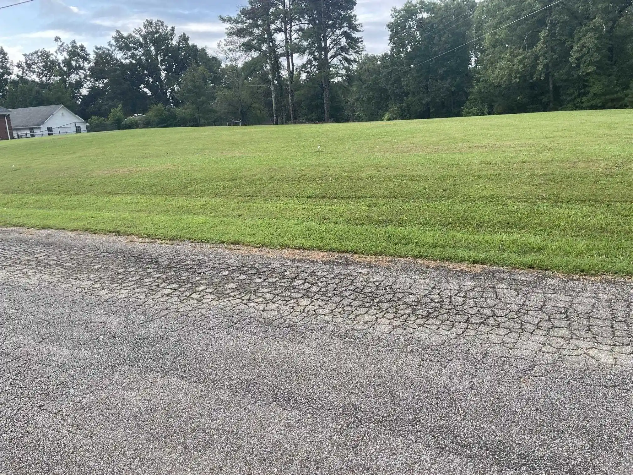 1st image of Caney Branch Rd, Adamsville, TN 38310 | MLS# 10226700