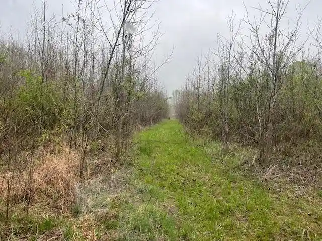 2nd image of 80 Macon Ridge Cv, Williston, TN 38076 | MLS# 10226765