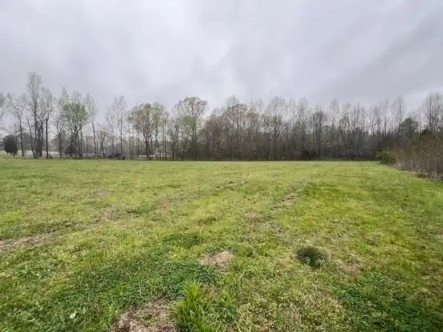 6th image of 80 Macon Ridge Cv, Williston, TN 38076 | MLS# 10226765