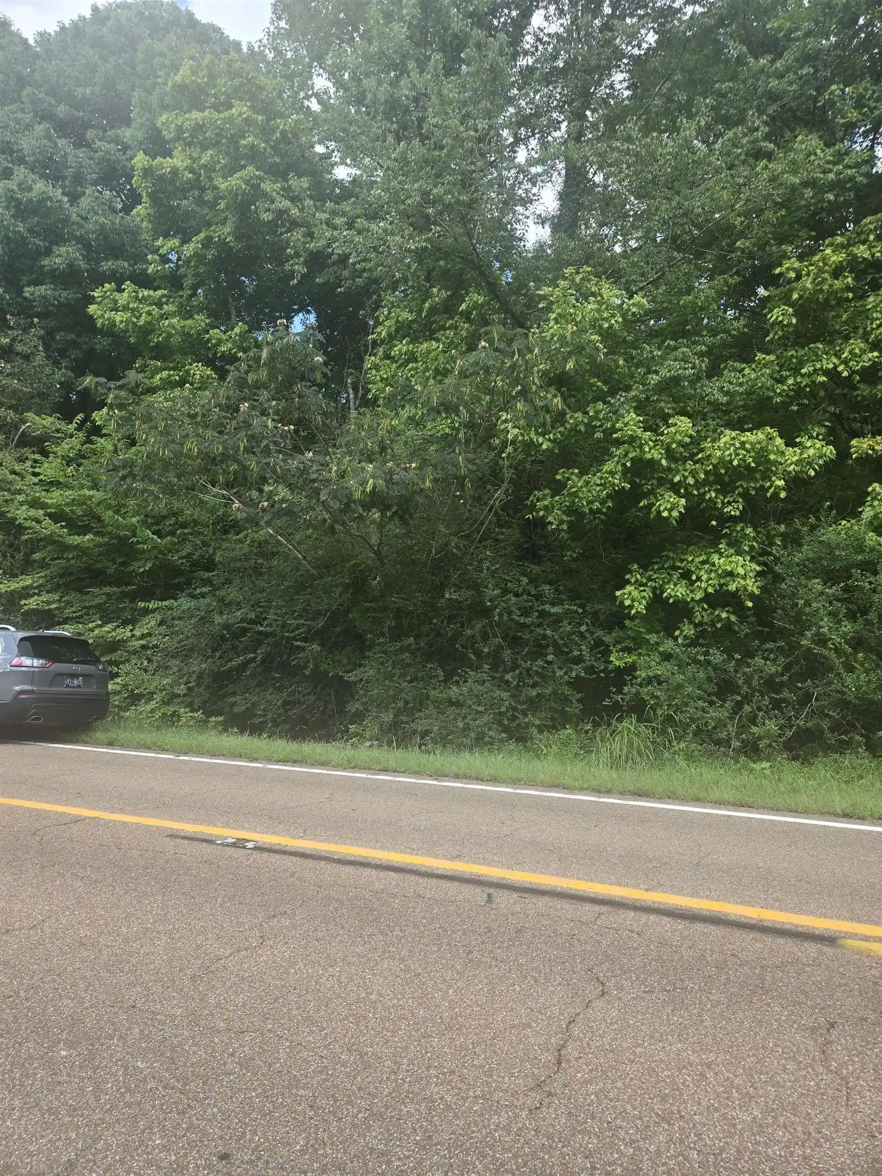 2nd image of Hwy 194 Hwy, Oakland, TN 38060 | MLS# 10226828