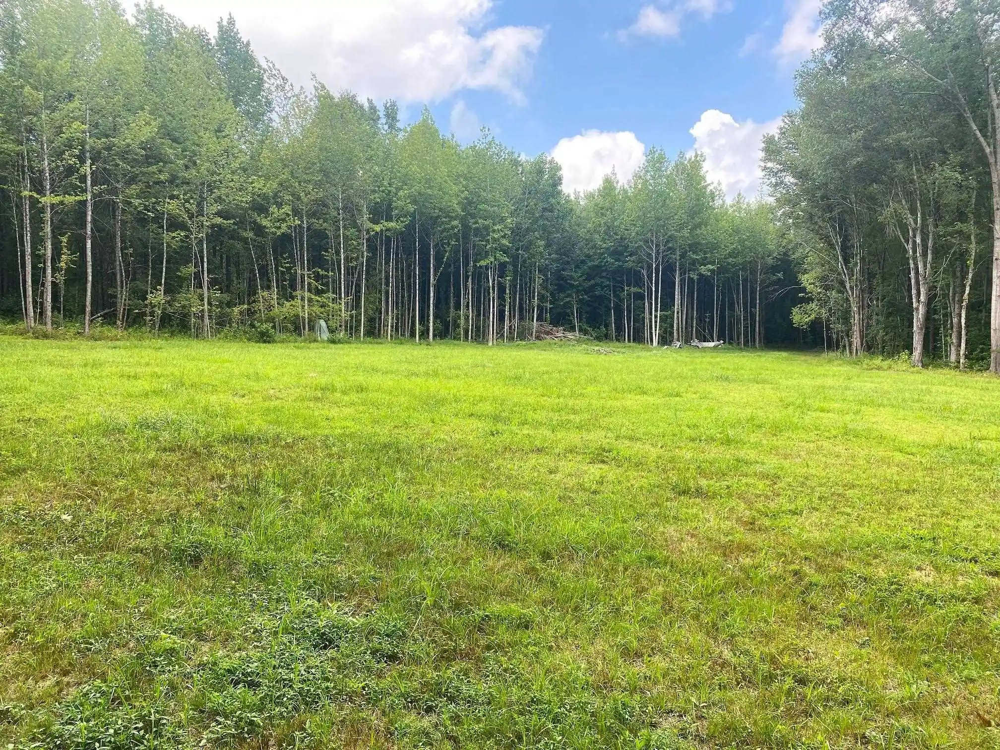 1st image of 1234 Sandy Flatt Rd, Bethel Springs, TN 38315 | MLS# 10226848