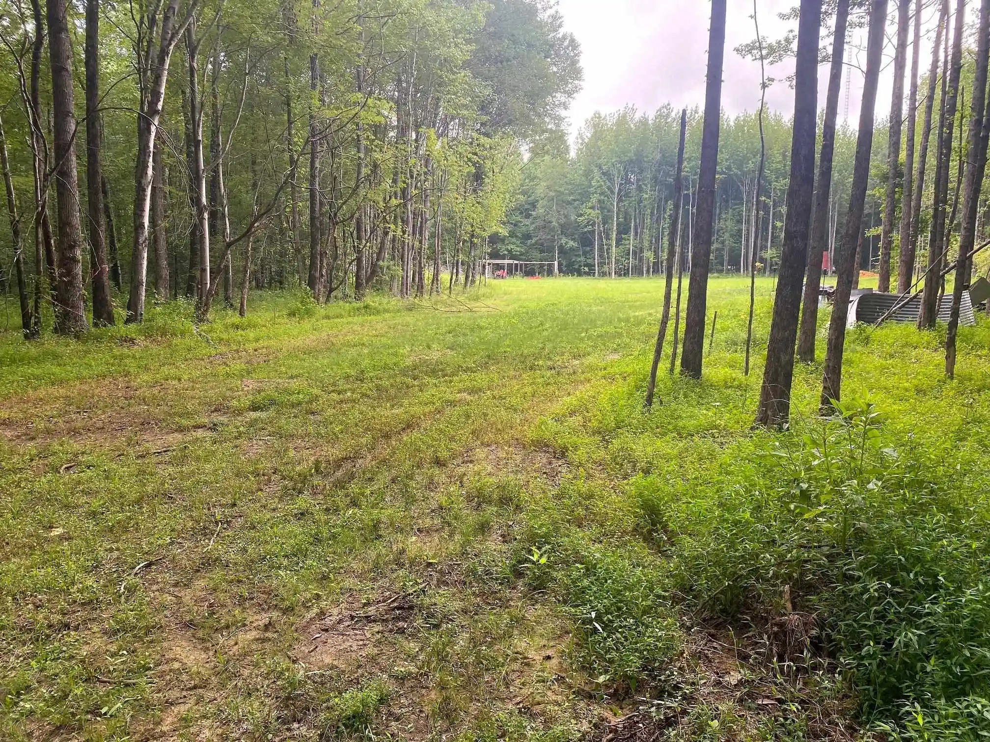 2nd image of 1234 Sandy Flatt Rd, Bethel Springs, TN 38315 | MLS# 10226848