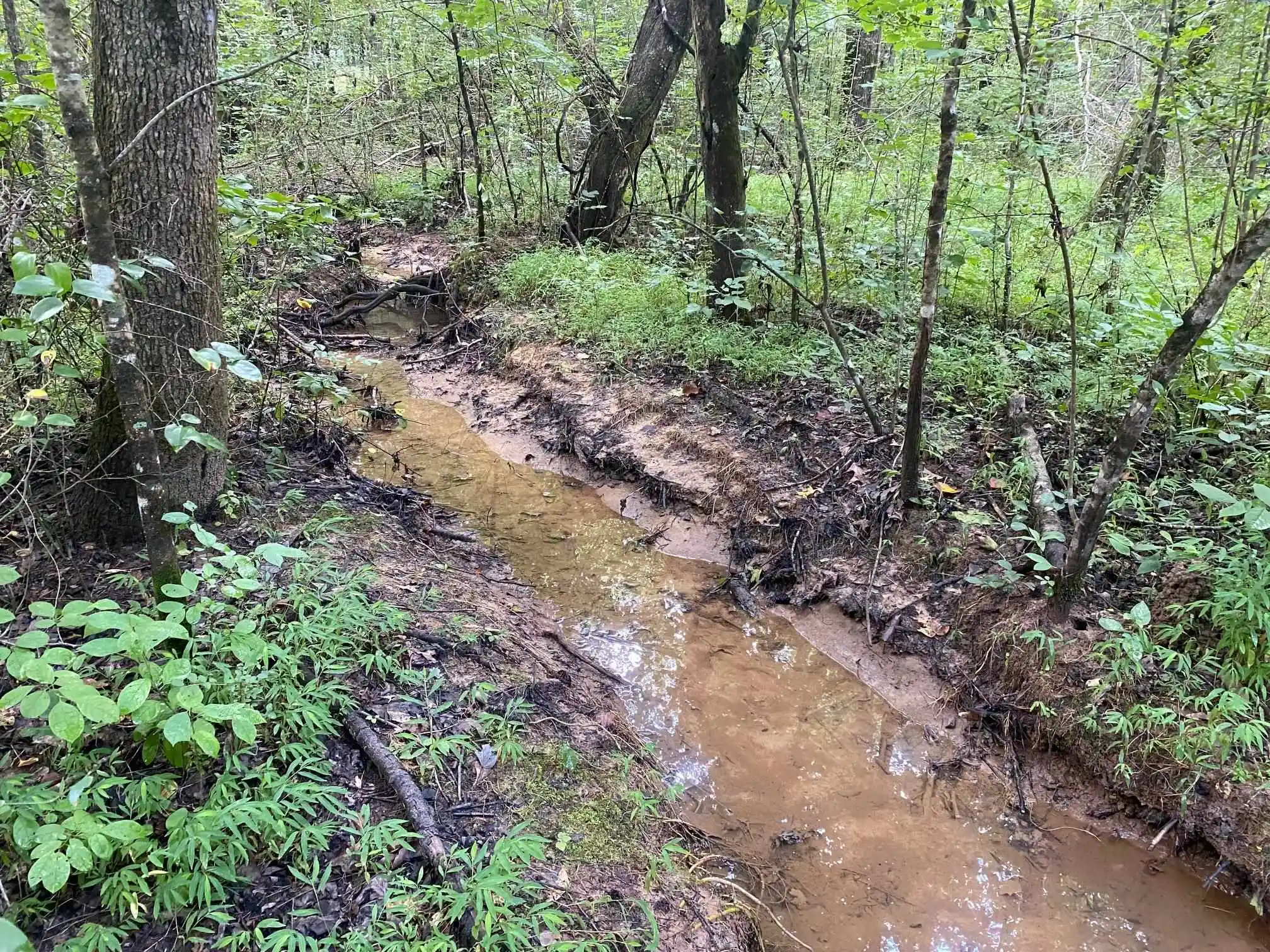 3rd image of 1234 Sandy Flatt Rd, Bethel Springs, TN 38315 | MLS# 10226848