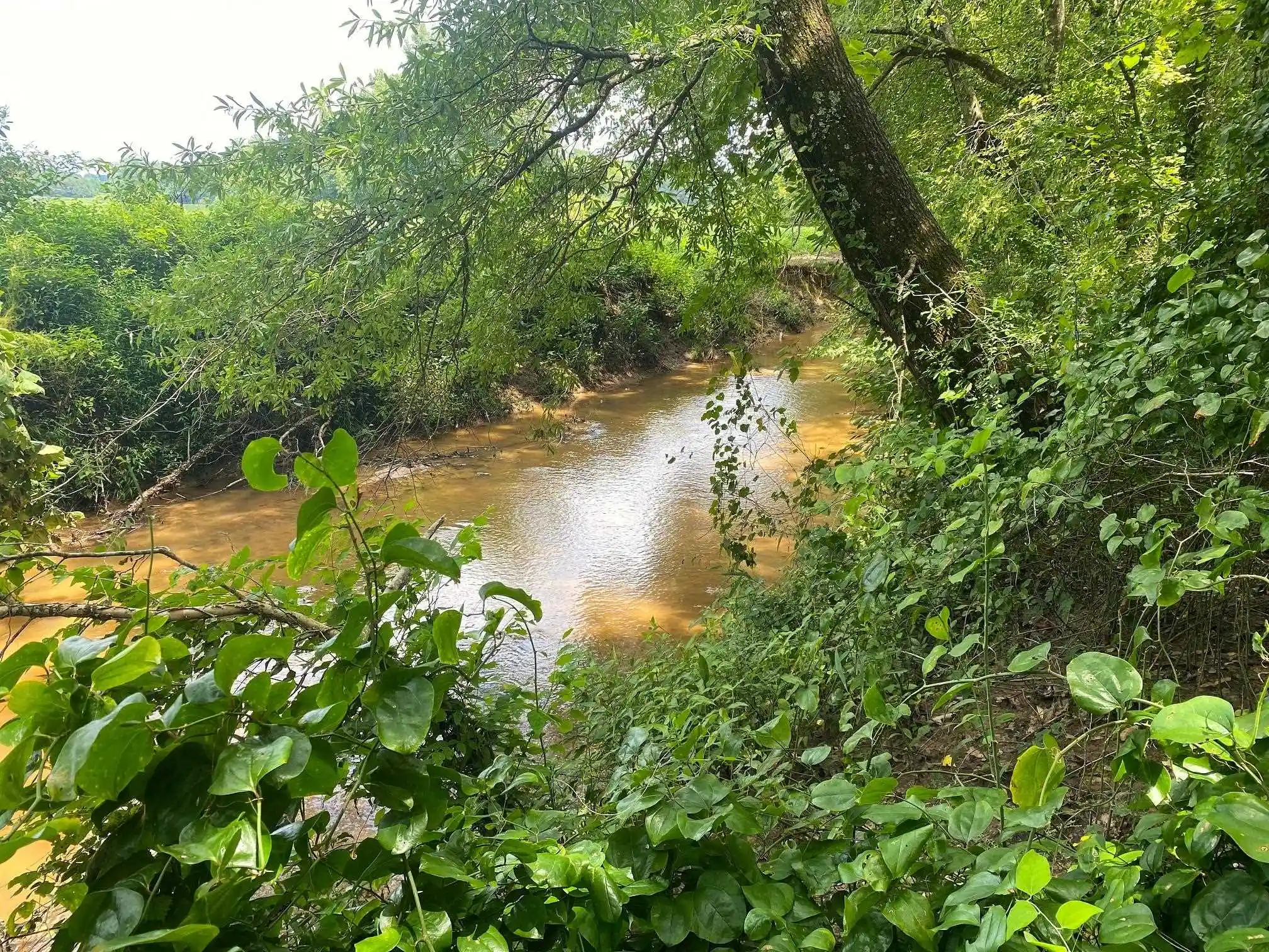 4th image of 1234 Sandy Flatt Rd, Bethel Springs, TN 38315 | MLS# 10226848