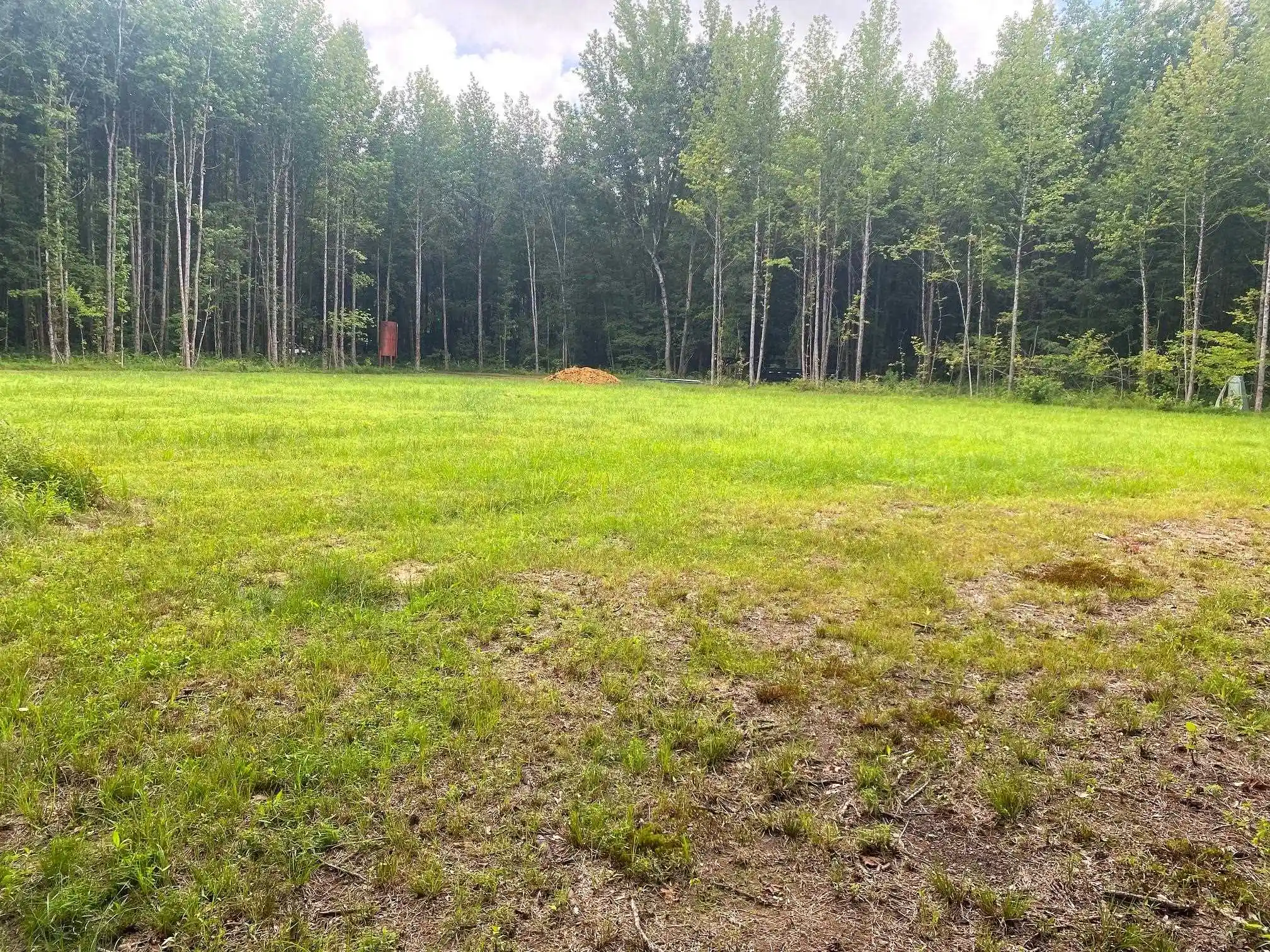 28th image of 1234 Sandy Flatt Rd, Bethel Springs, TN 38315 | MLS# 10226848